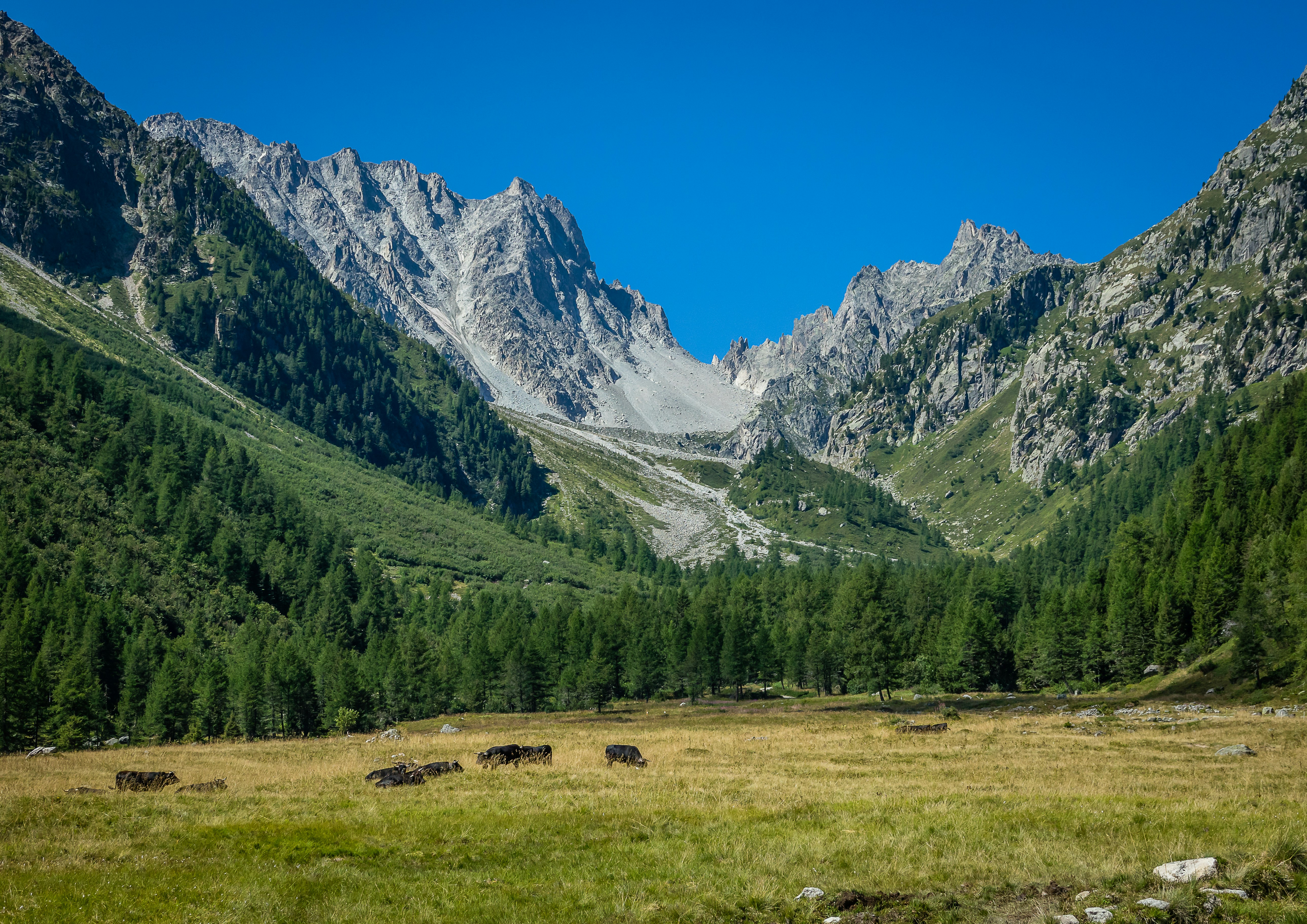 Photo by norfolkboy14