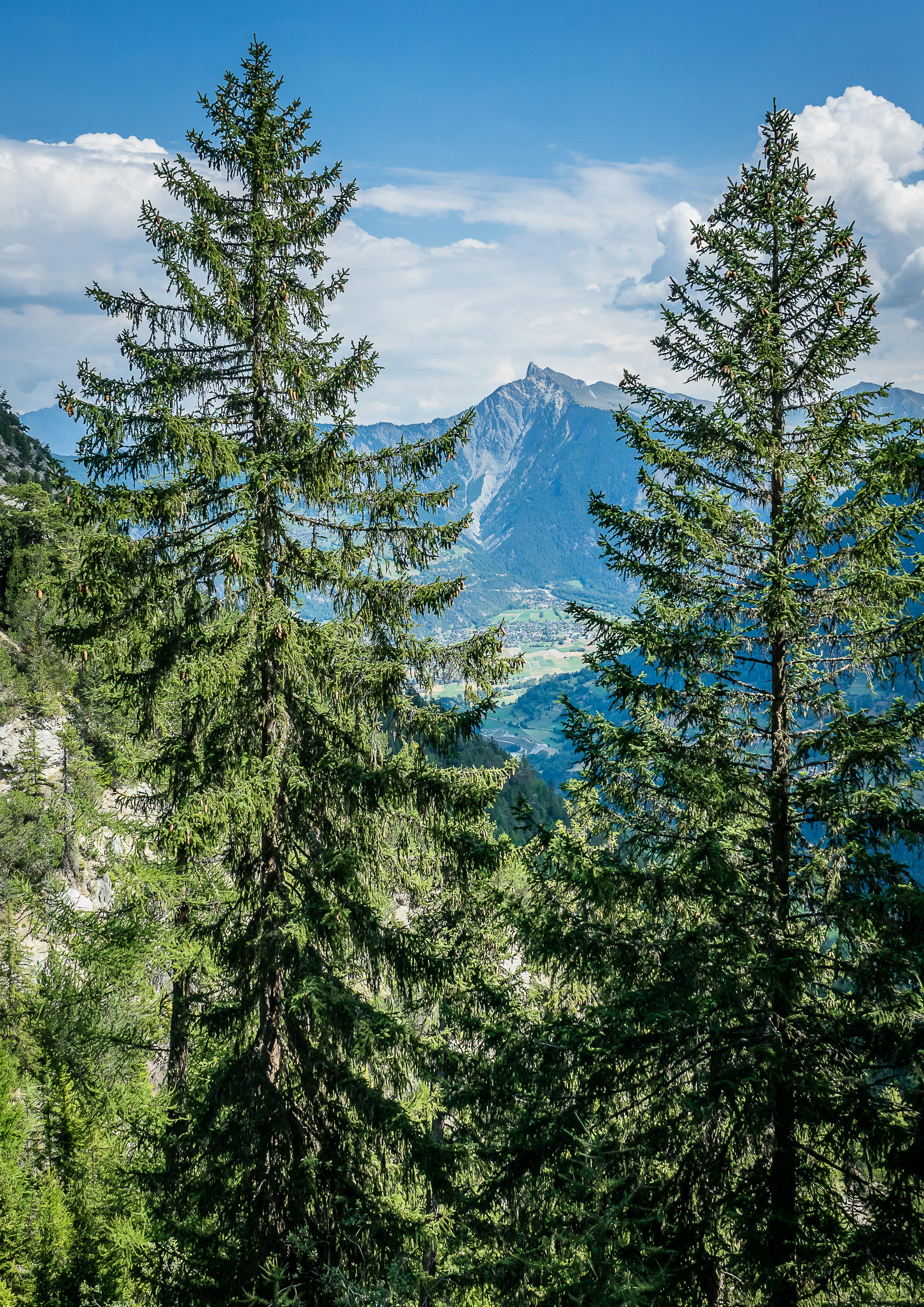 Photo by norfolkboy14