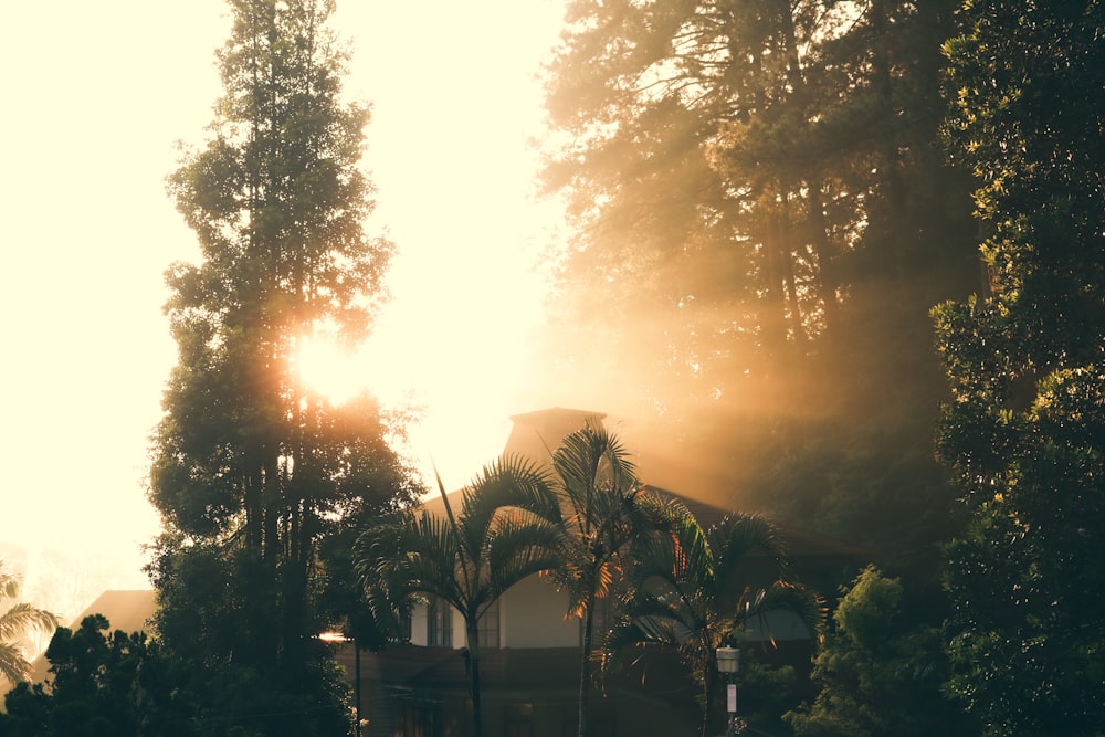 a building with trees around it