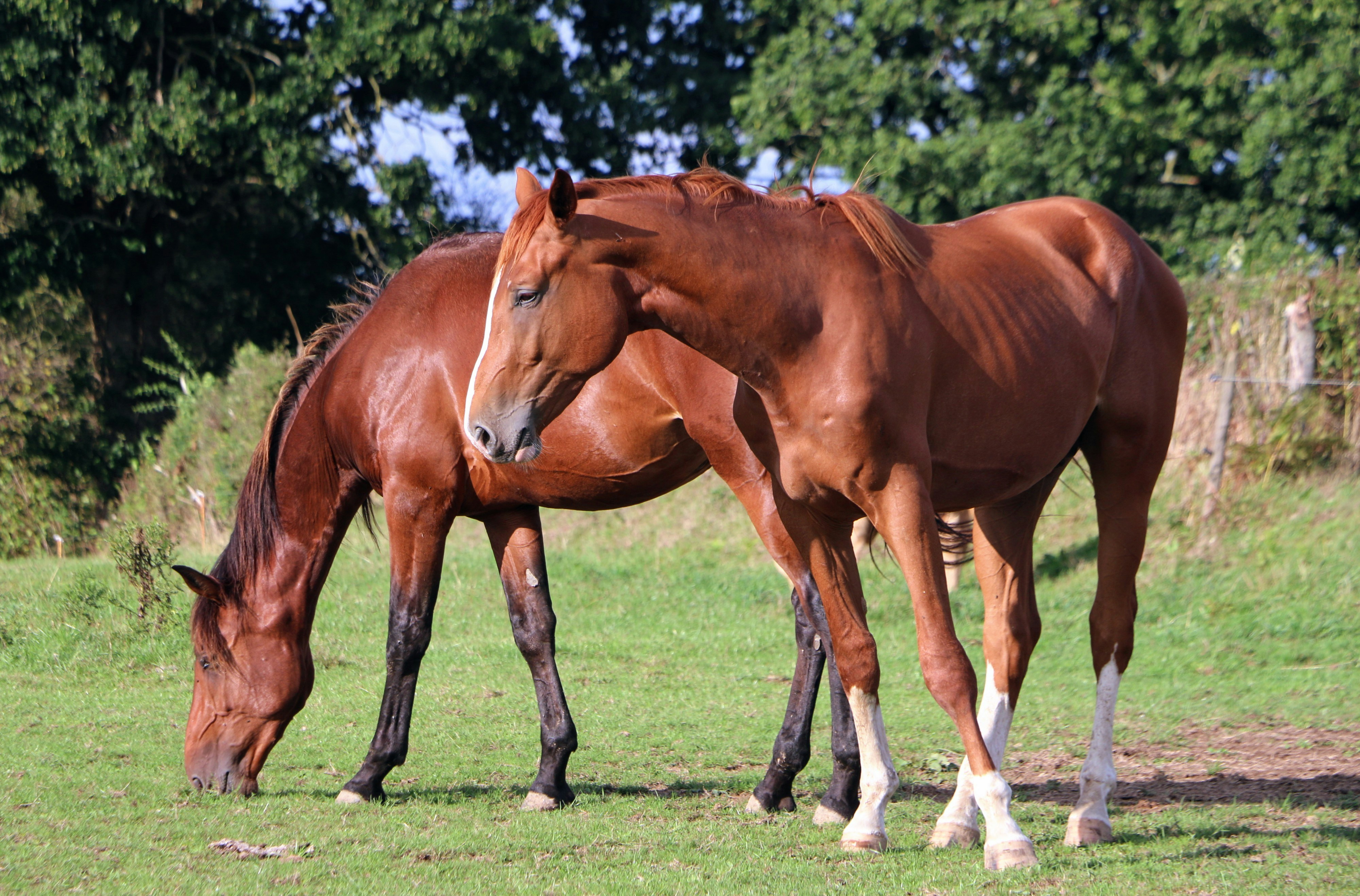 Photo by haim_charbit18