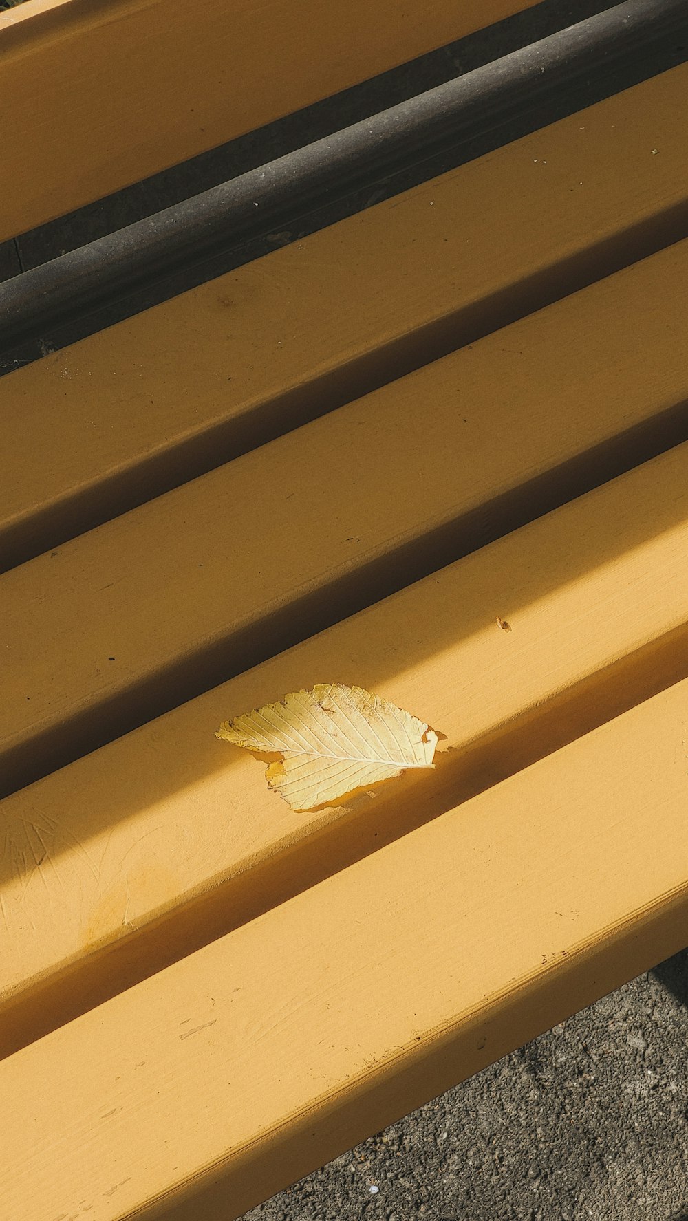 a moth on a wood surface