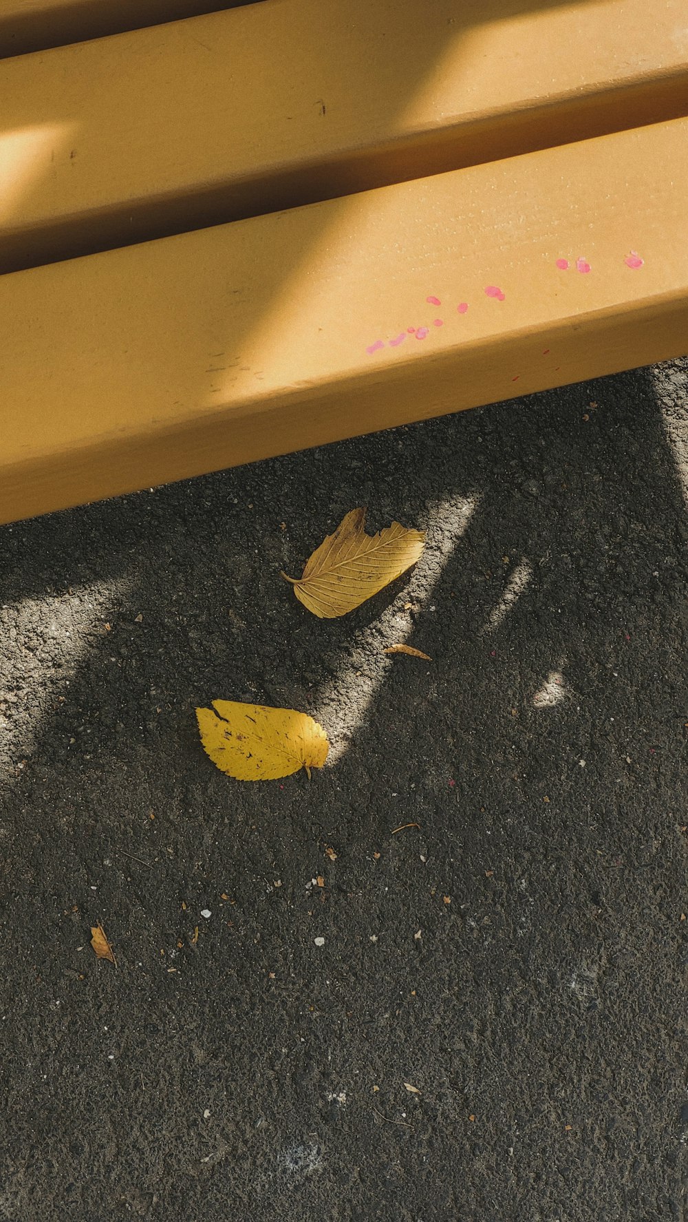 a yellow leaf on a black surface