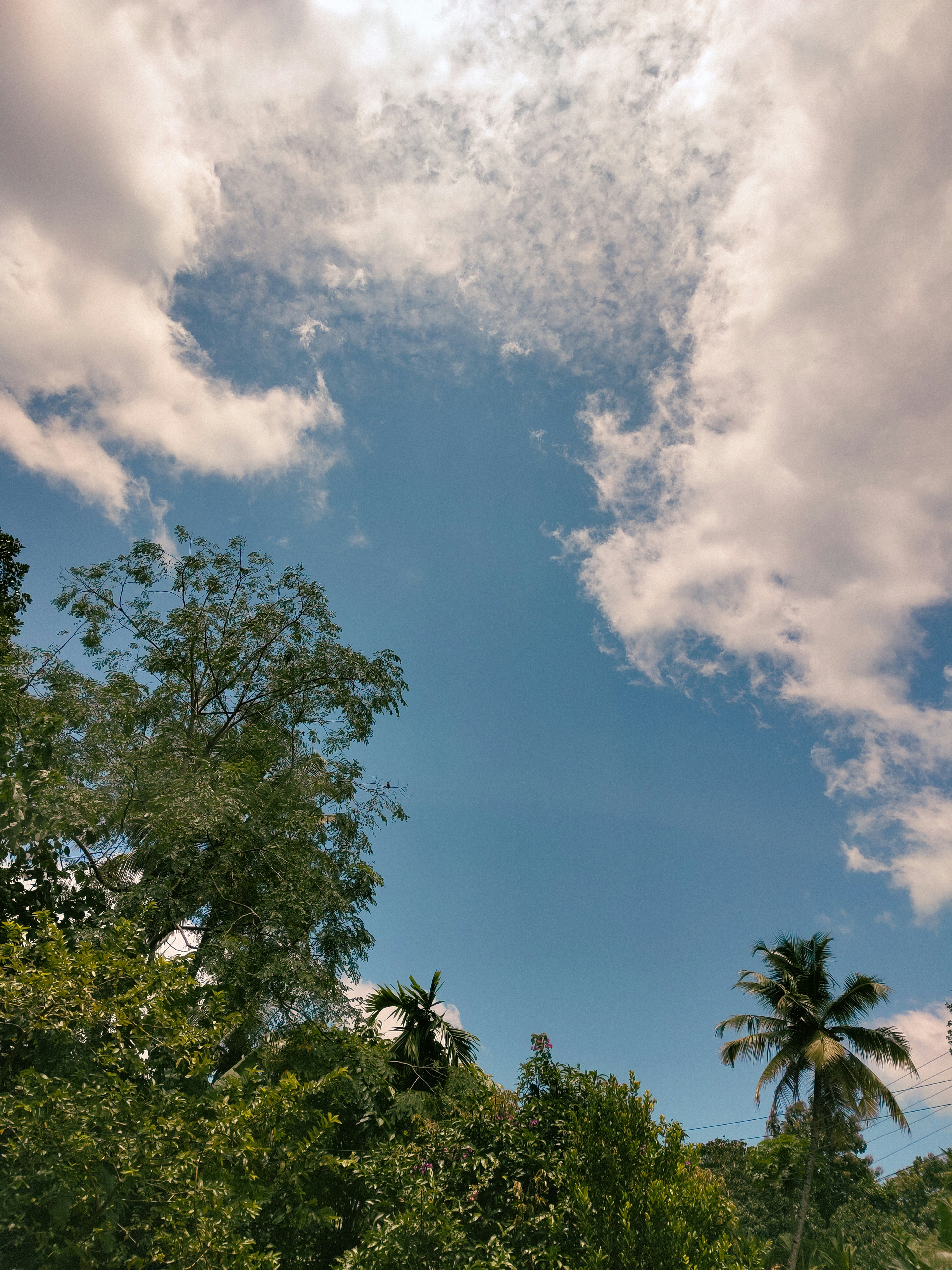 Photo by tomvarghese00