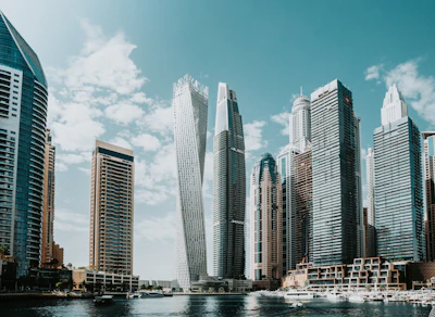 Garden centers Dubai skyline