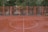 A wet, deserted sports court with an orange-red surface is shown with a white half-circle line marking in the center. Surrounding the court is a metal fence painted in orange. Behind the fence, there are trees with green foliage and buildings partially visible in the background. A few cars are parked along the street.