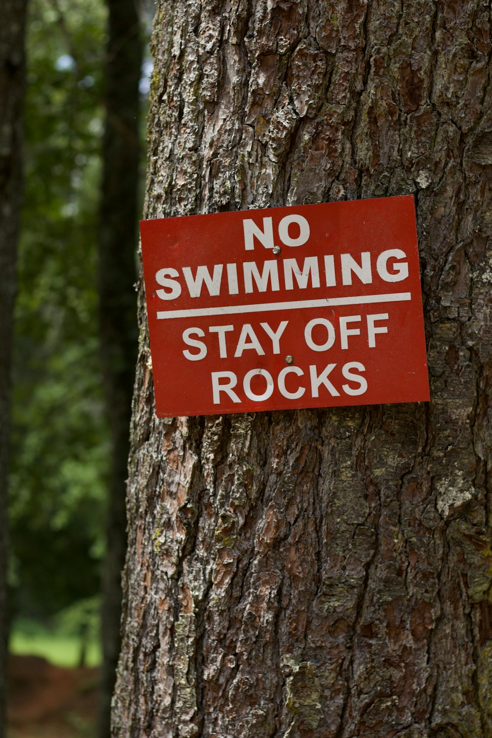 a red sign on a tree