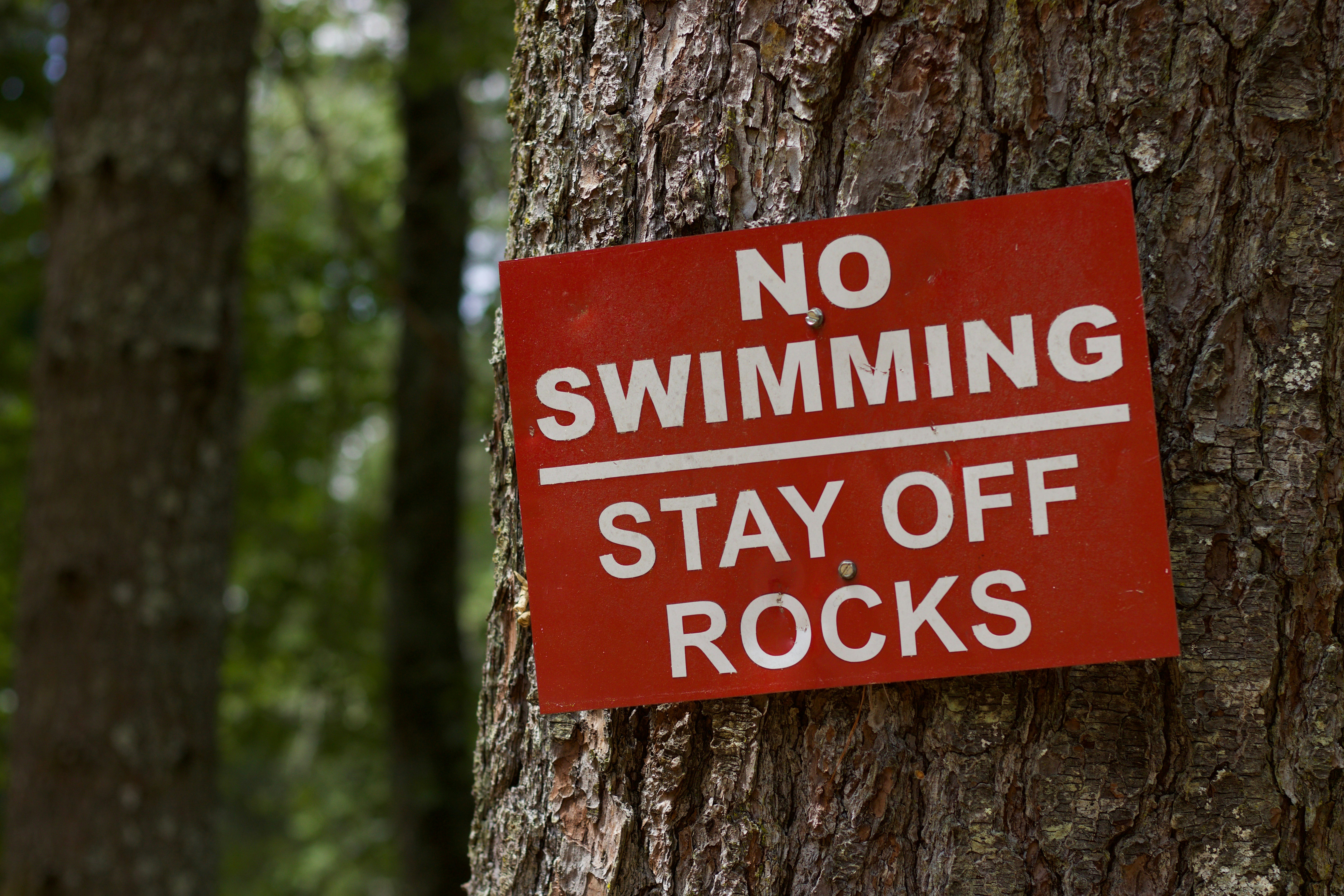 a red sign on a tree