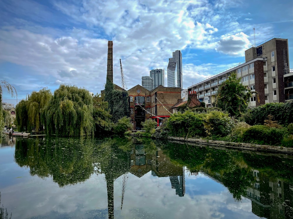 a body of water with buildings and trees around it