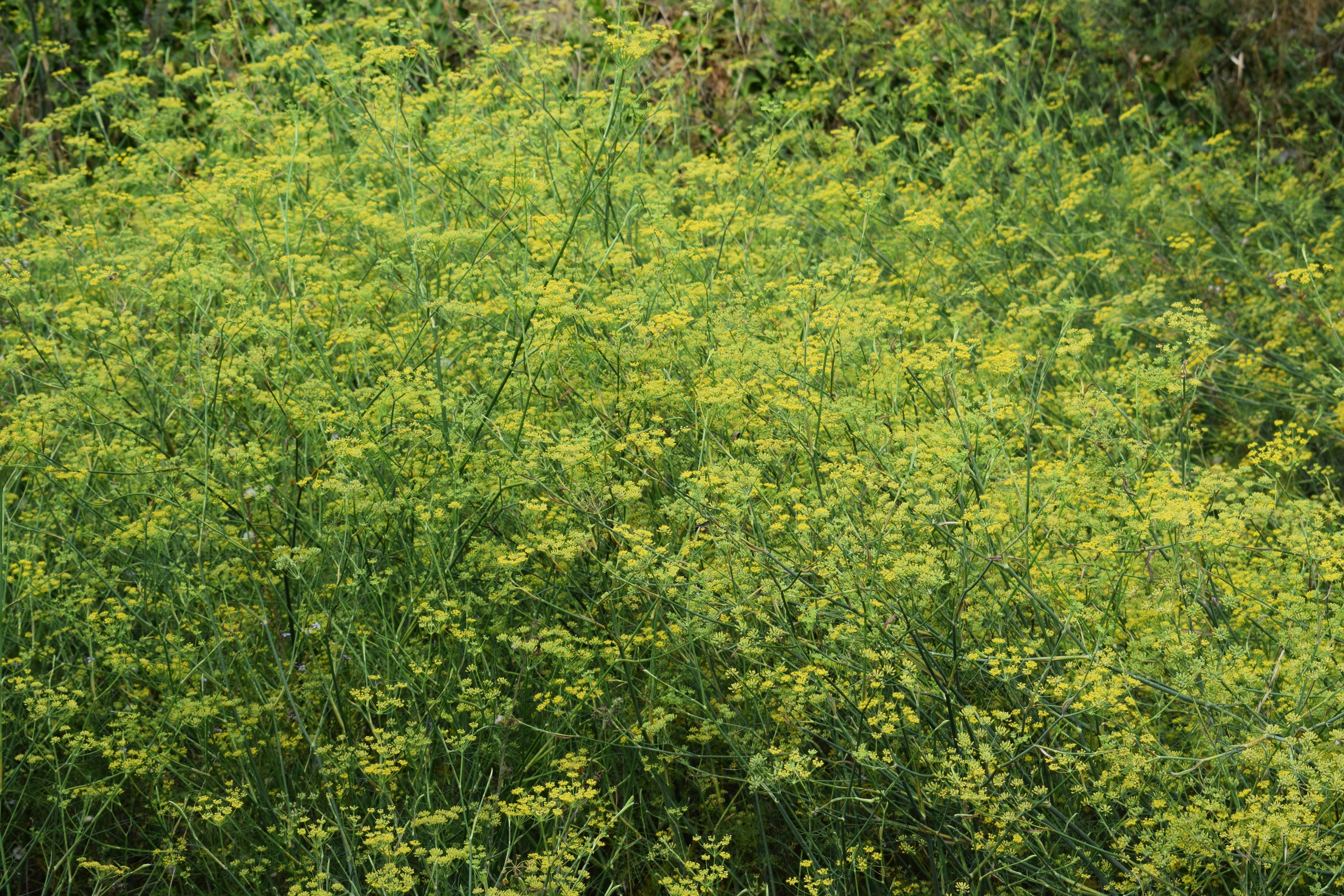 Photo by kristina001