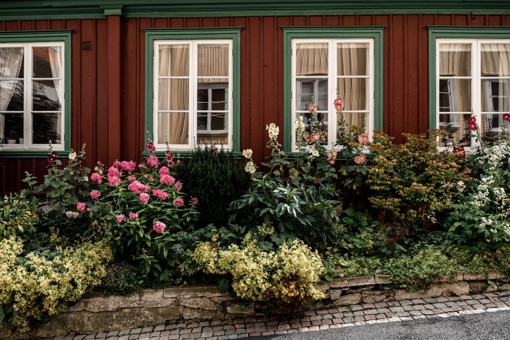 a group of flowers in front of a building