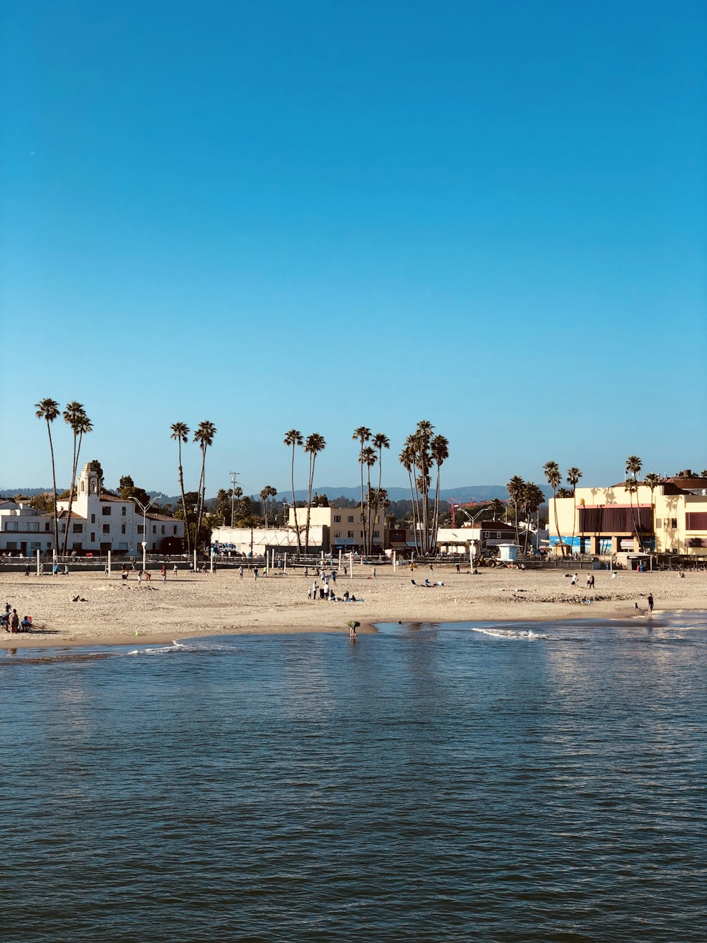 a beach with palm trees and buildings