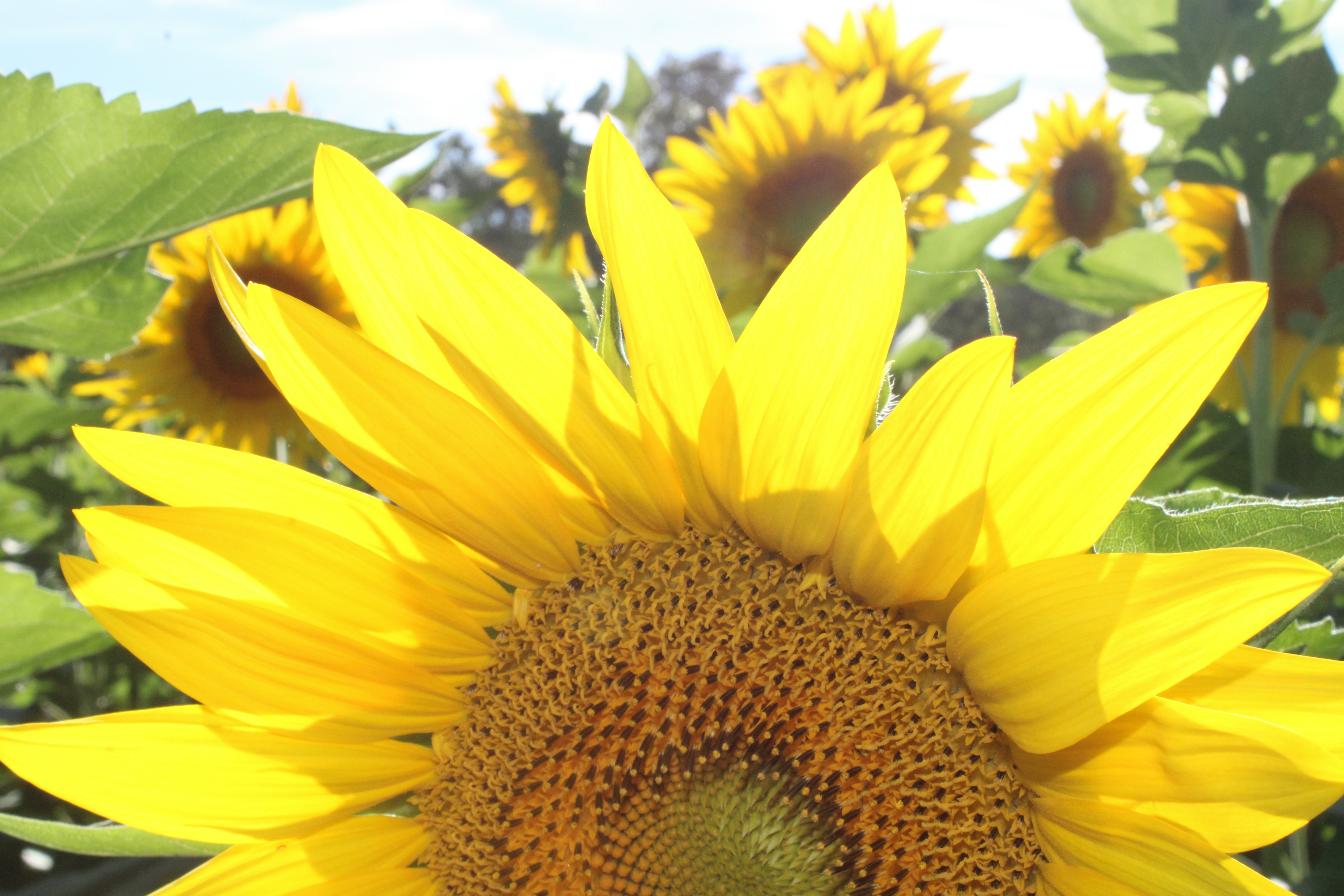 Photo by rmnewberry7