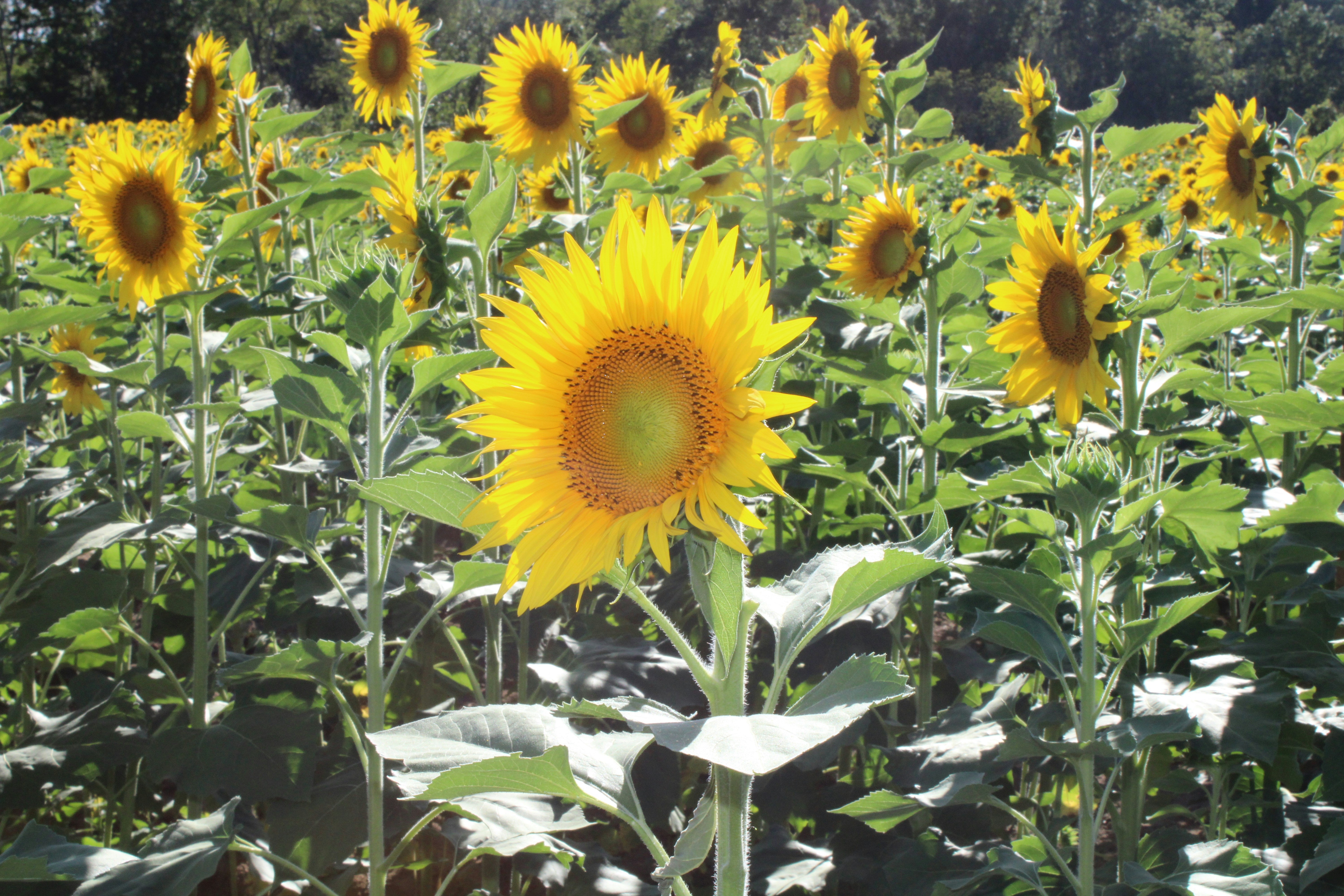 Photo by rmnewberry7