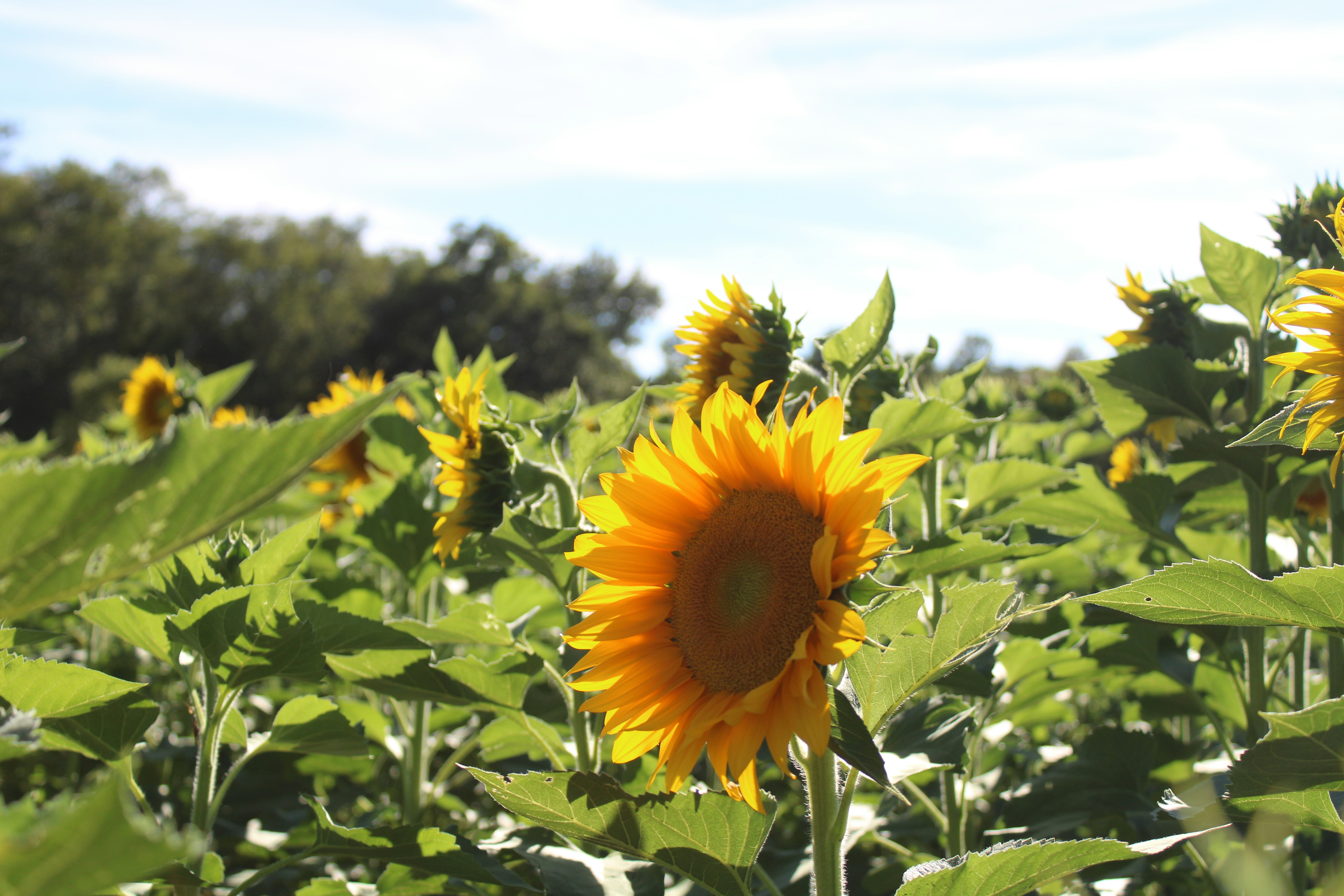 Photo by rmnewberry7