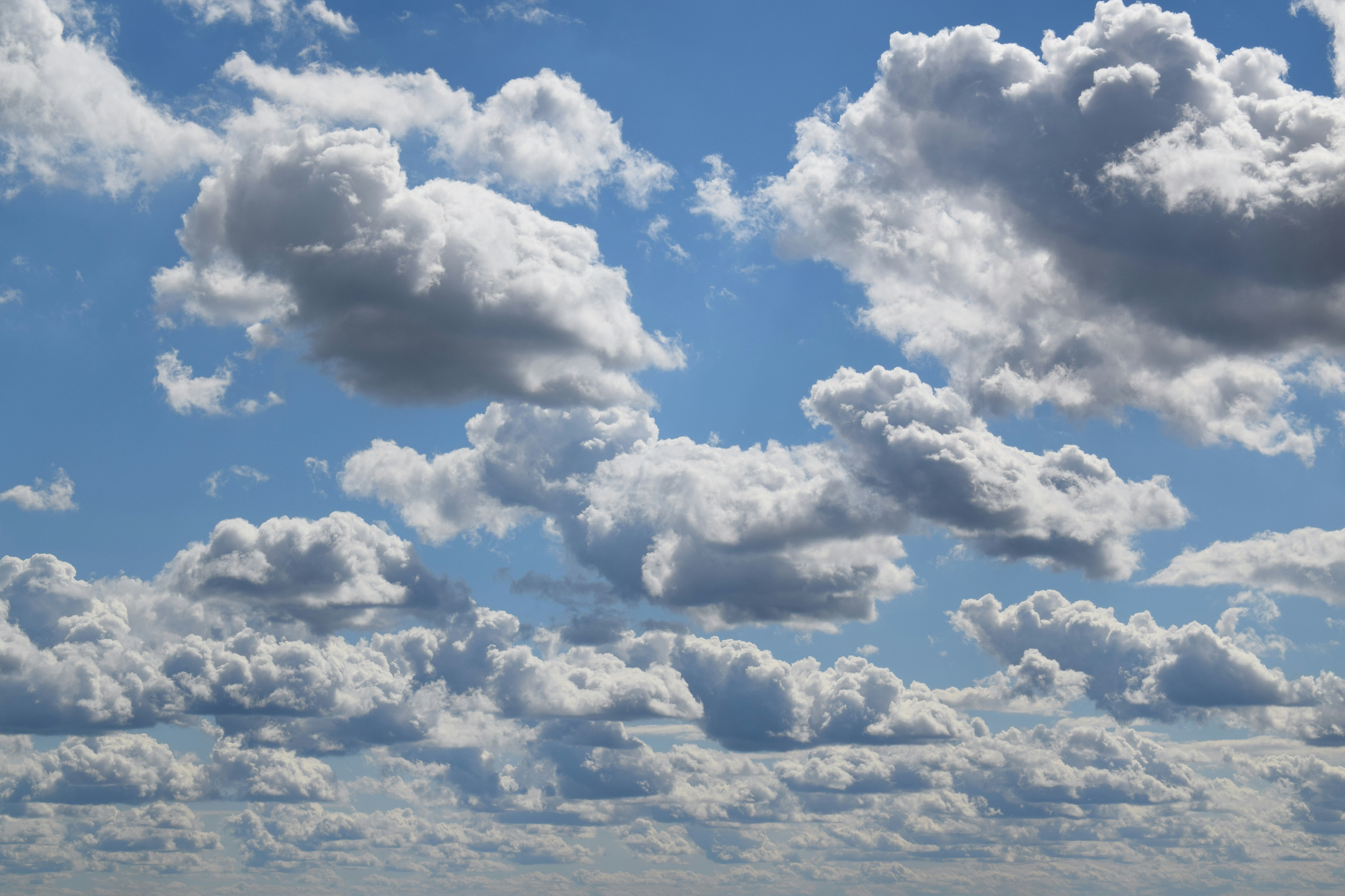 Photo by kristina001