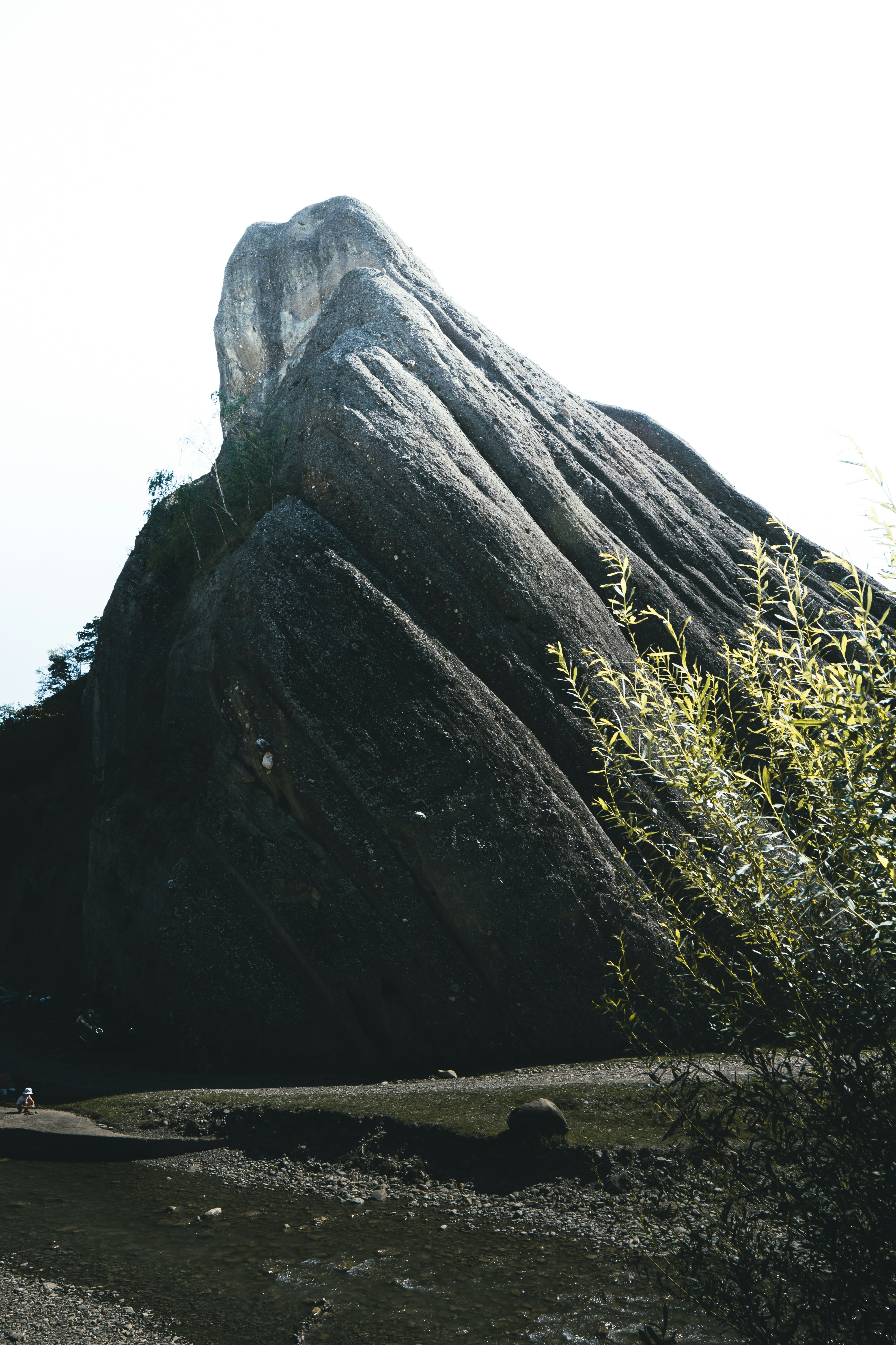 Photo by androwv