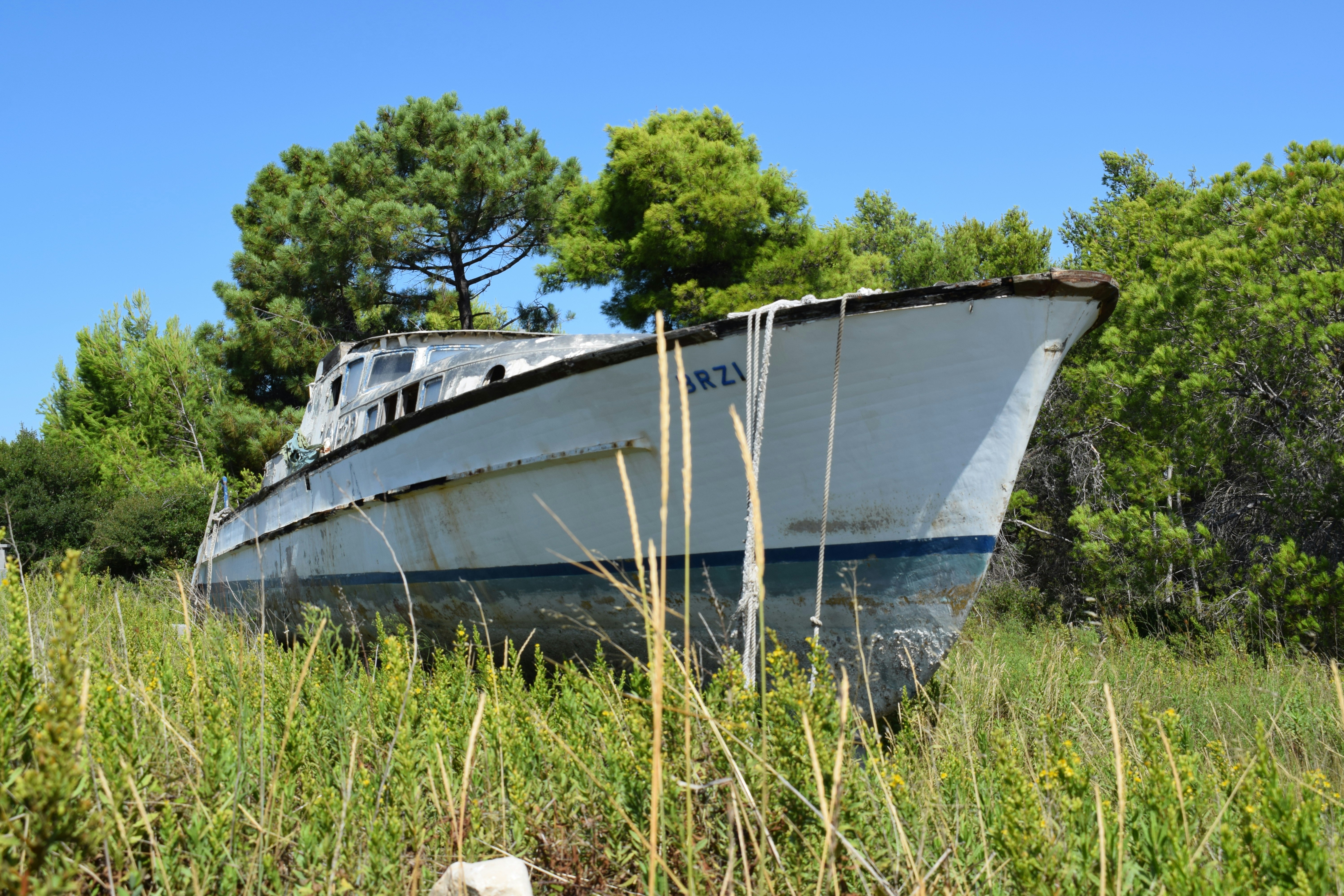 Photo by kristina001