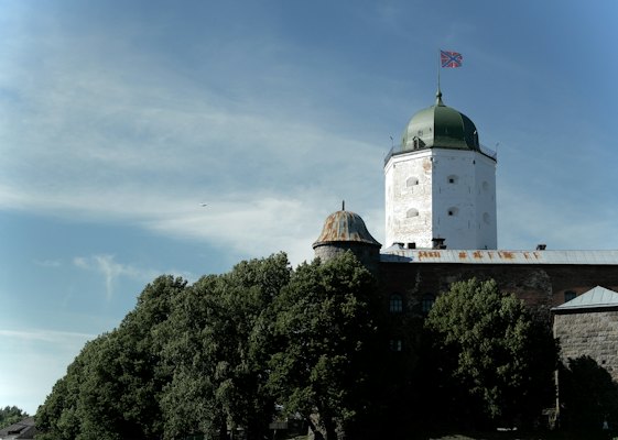 The castle’s St Olaf tower above the trees — Vyborg, Russia