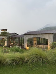 A modern container cabin nestled in a lush New Zealand garden with mountain backdrop