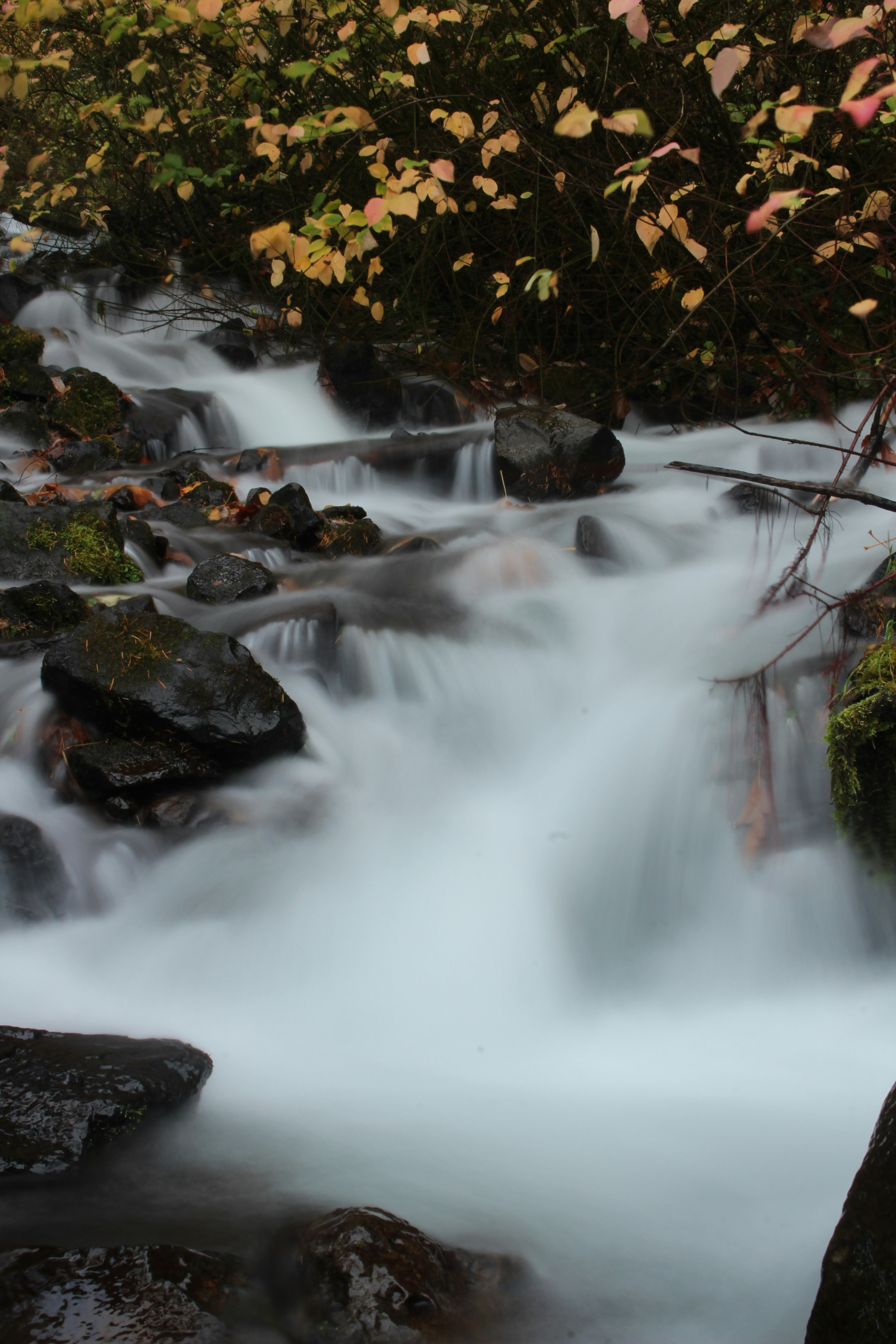 Photo by elijahaustin