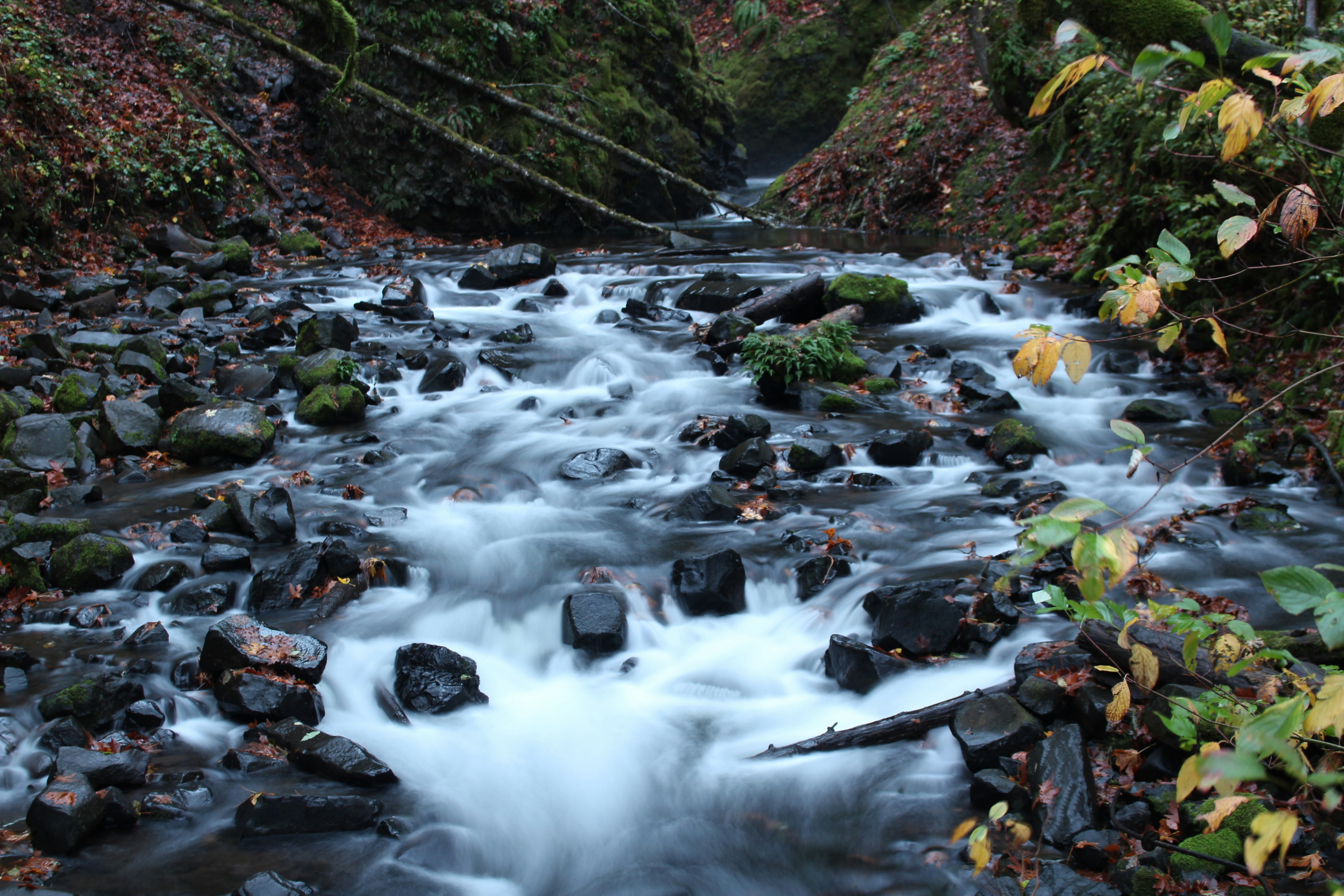 Photo by elijahaustin