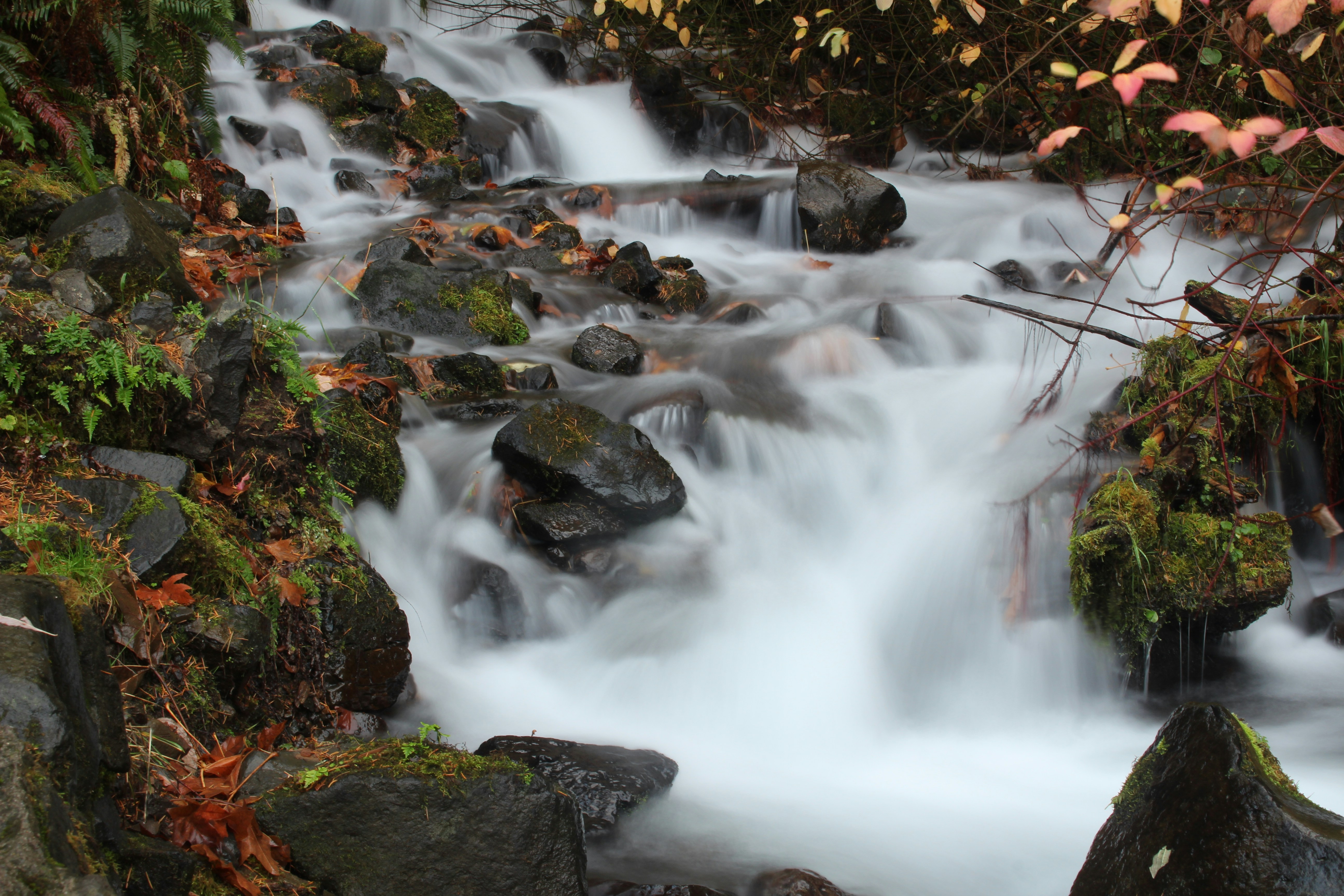 Photo by elijahaustin