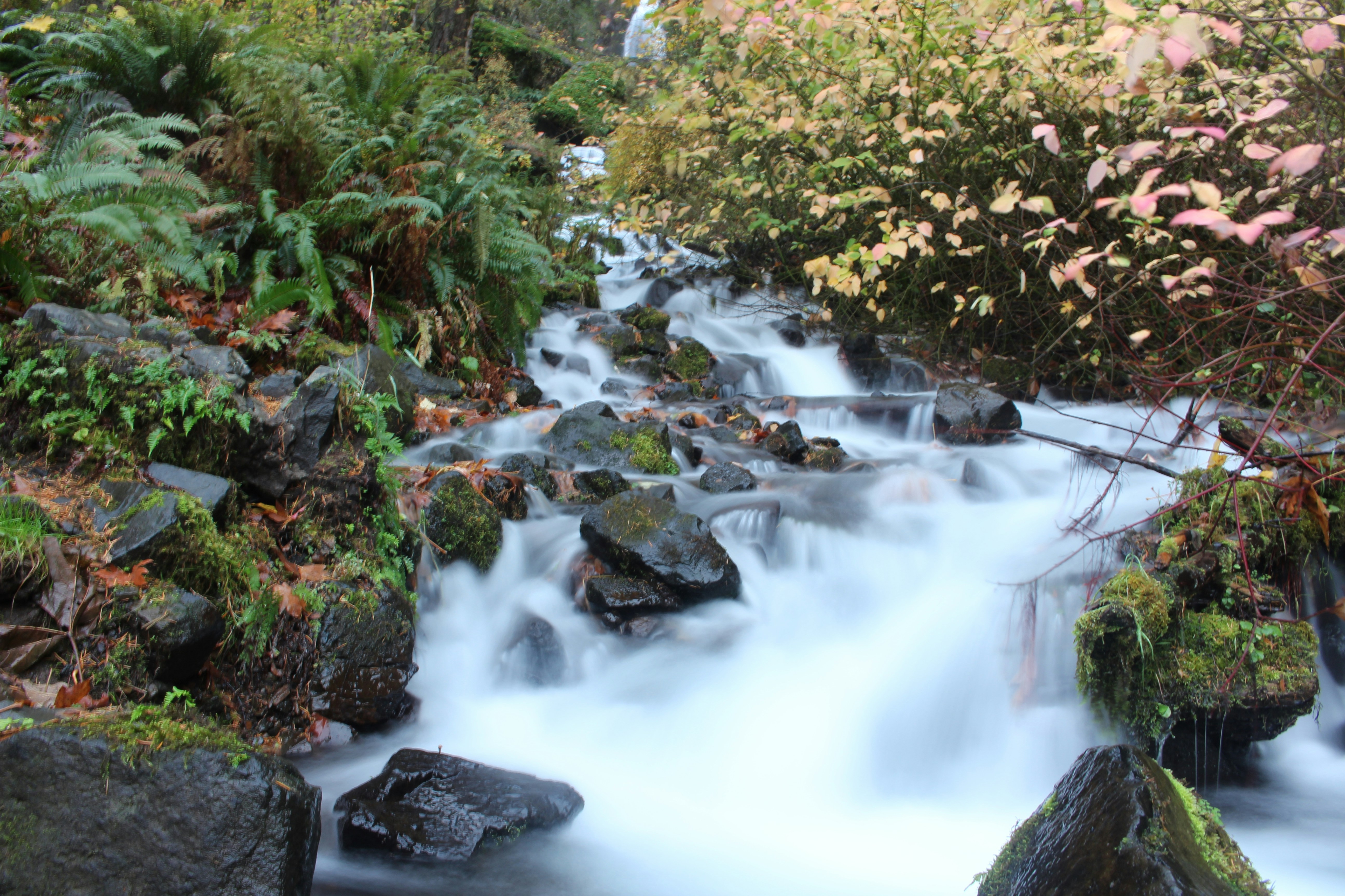 Photo by elijahaustin