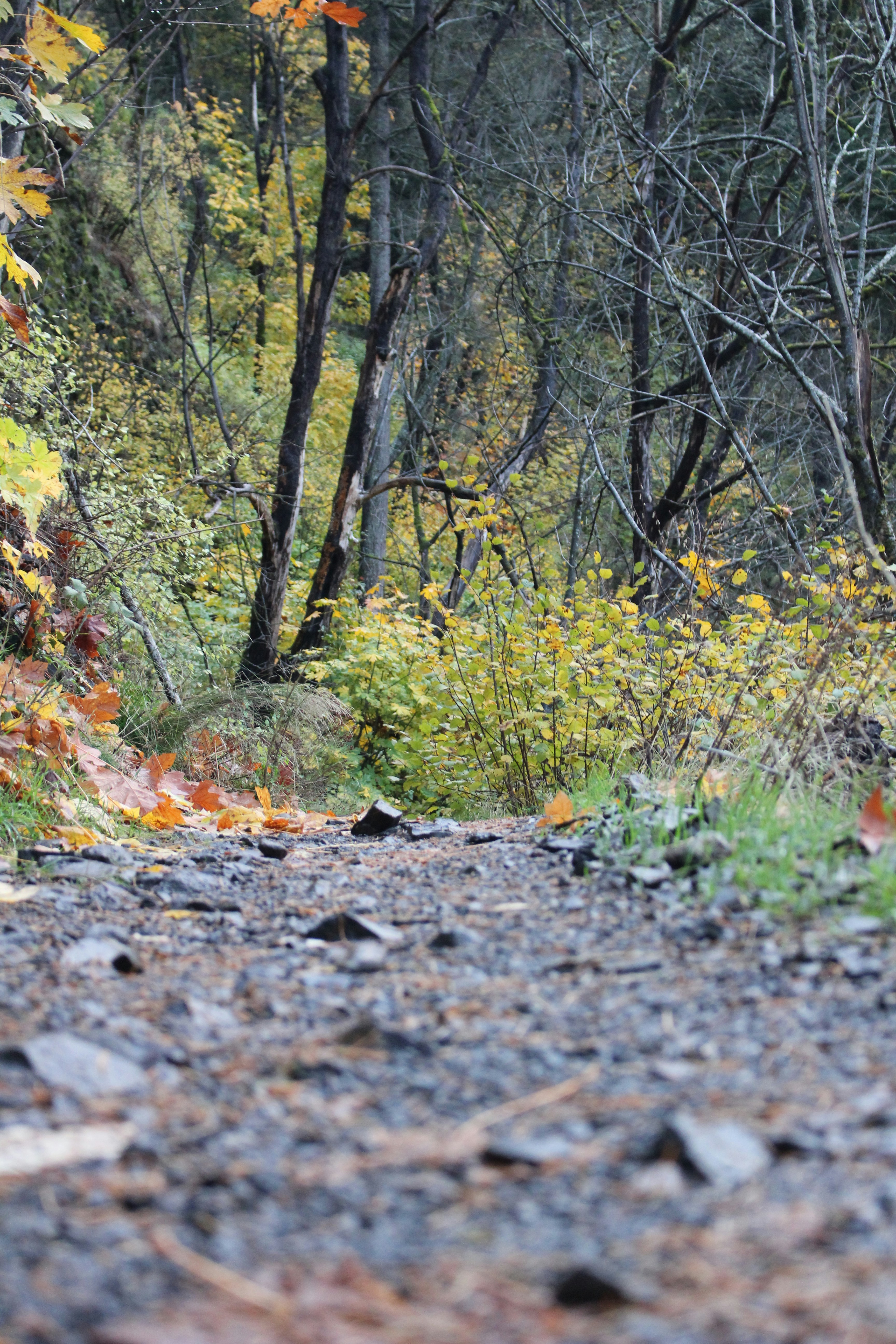 Photo by elijahaustin