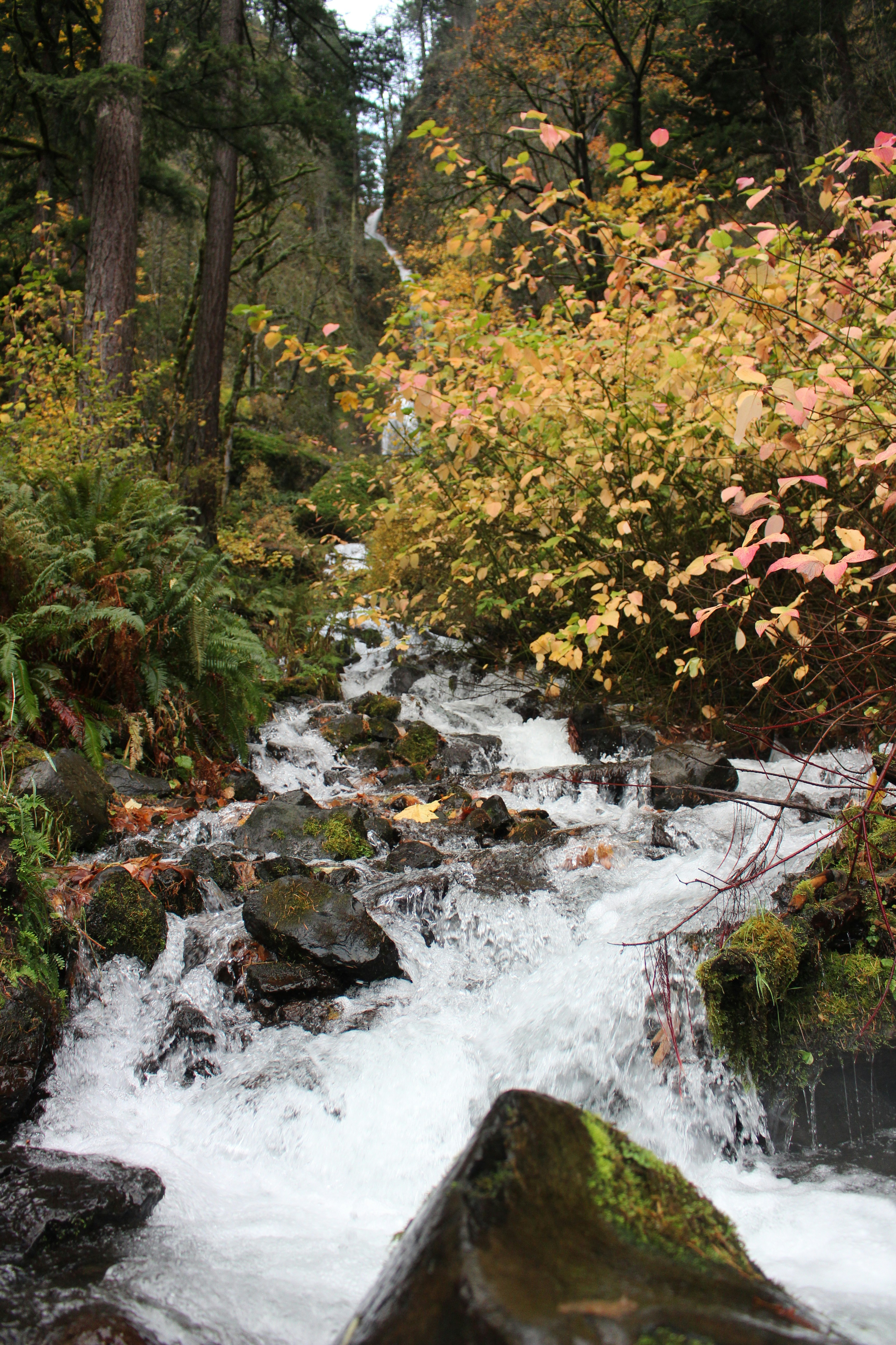 Photo by elijahaustin