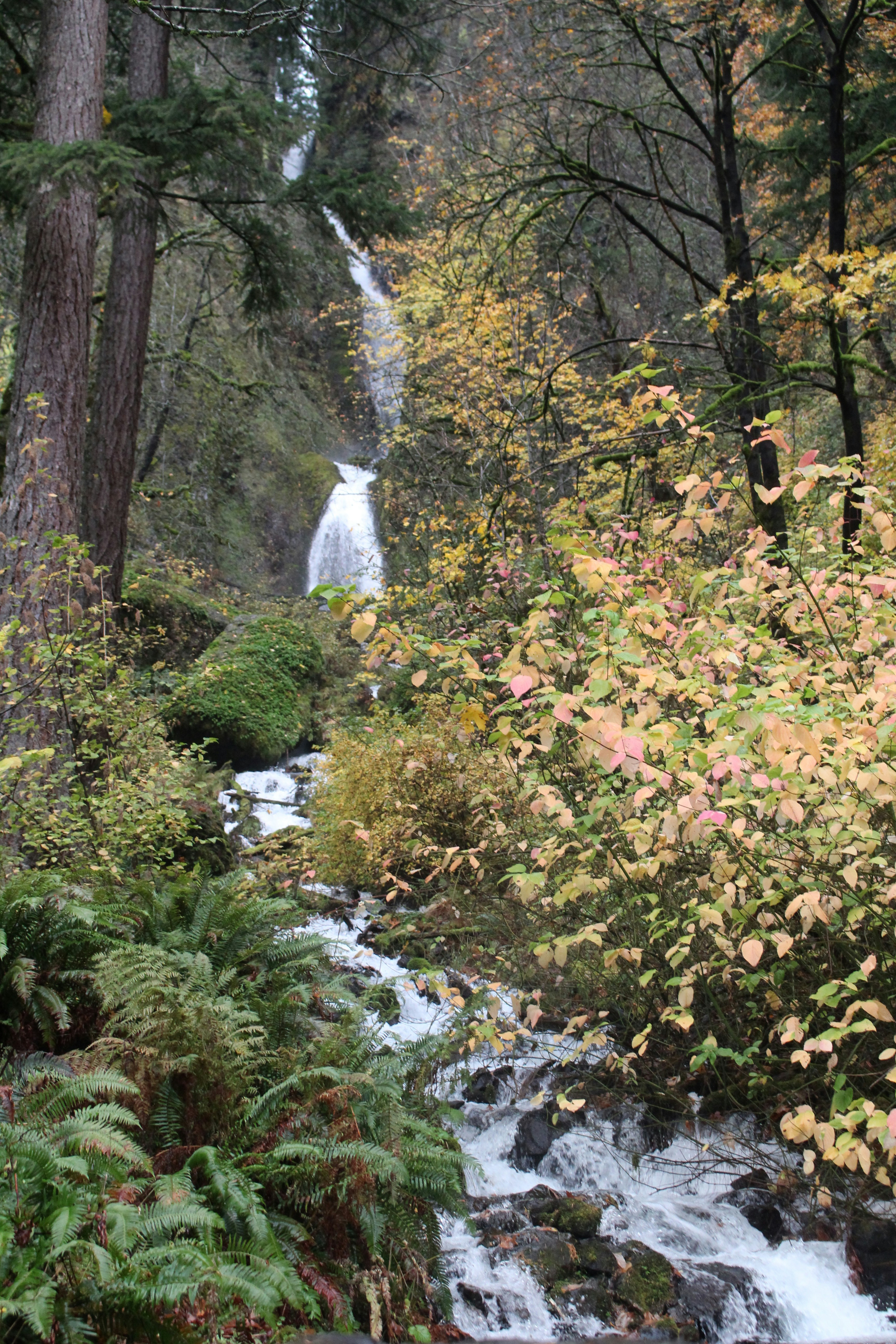 Photo by elijahaustin