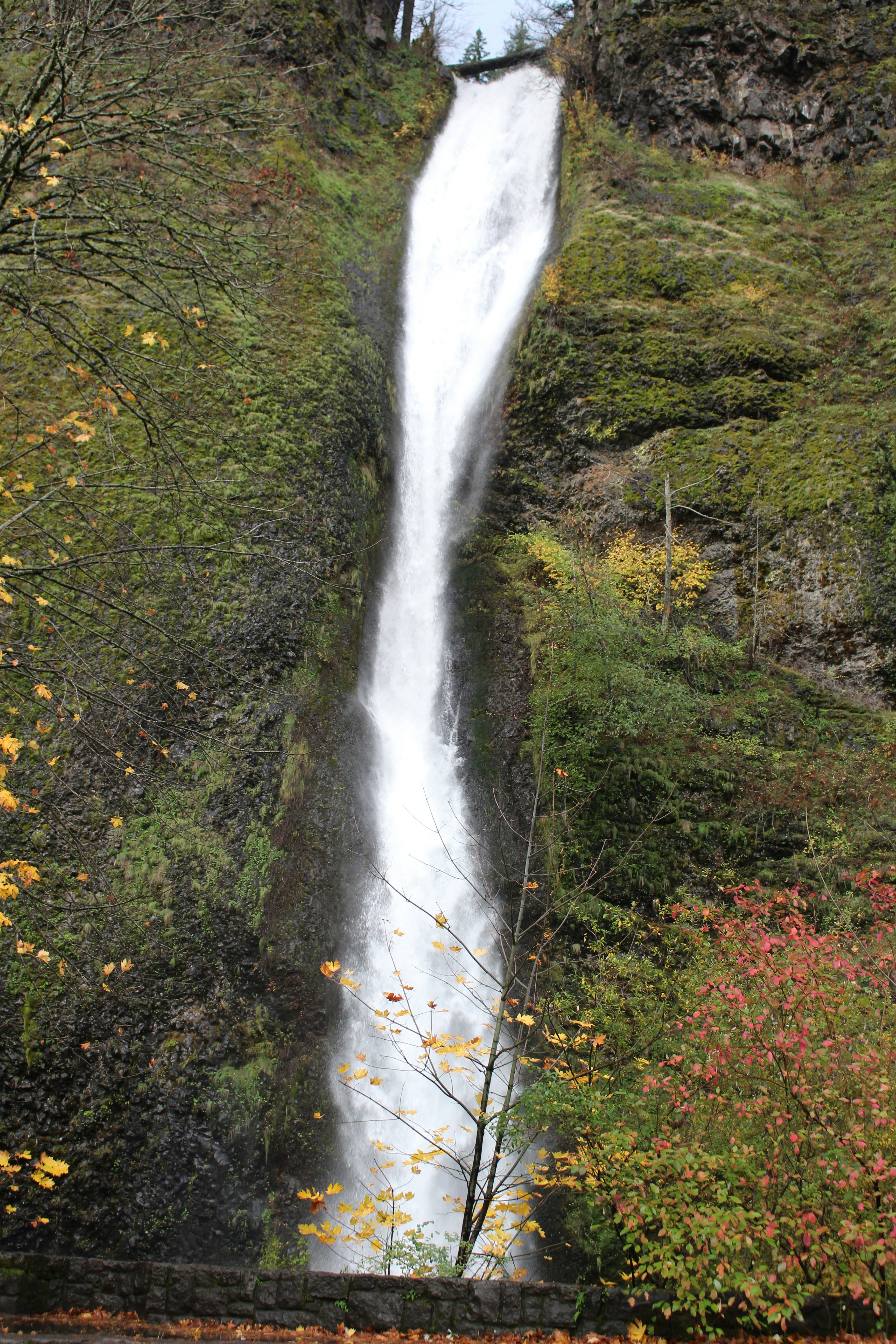 Photo by elijahaustin