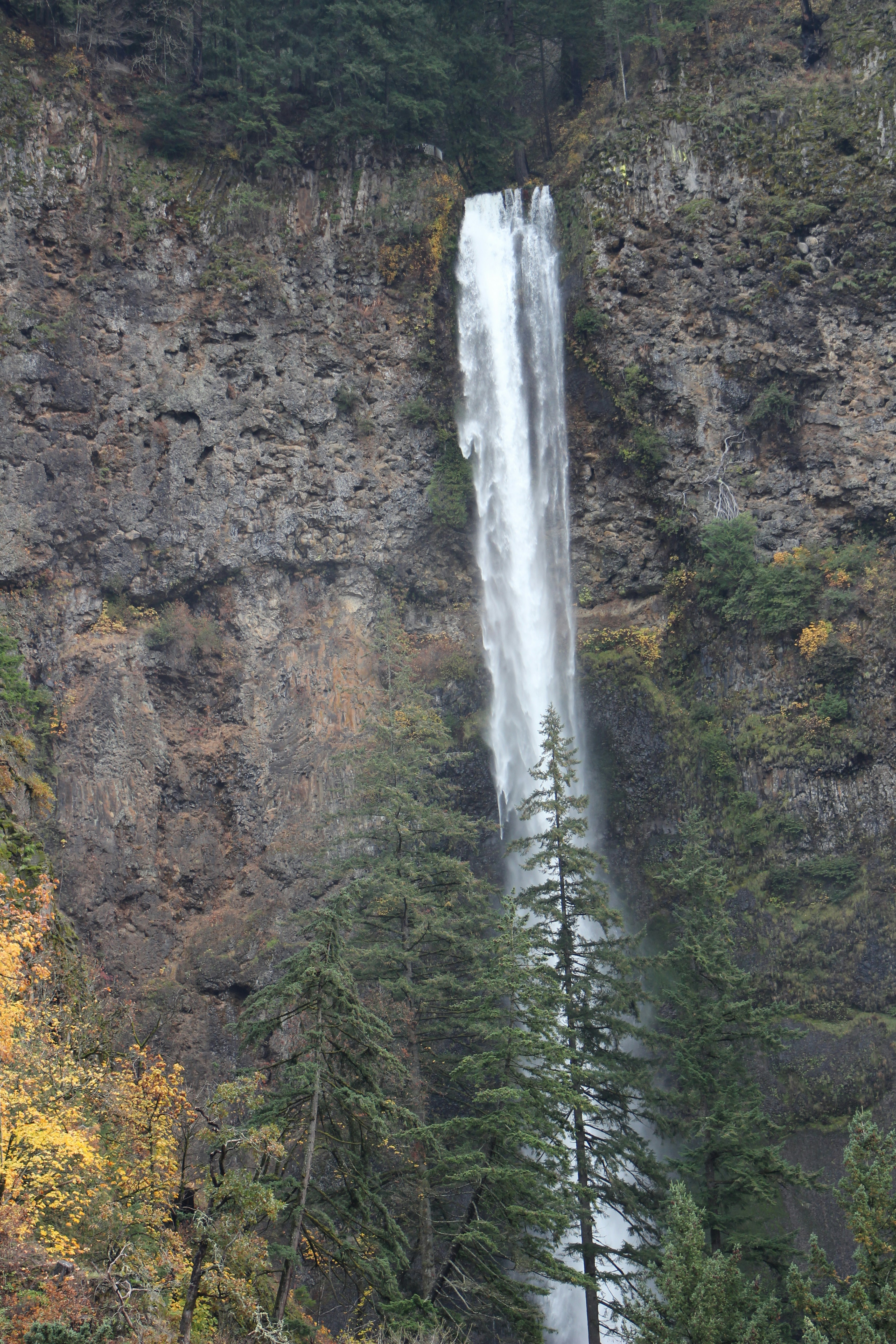 Photo by elijahaustin