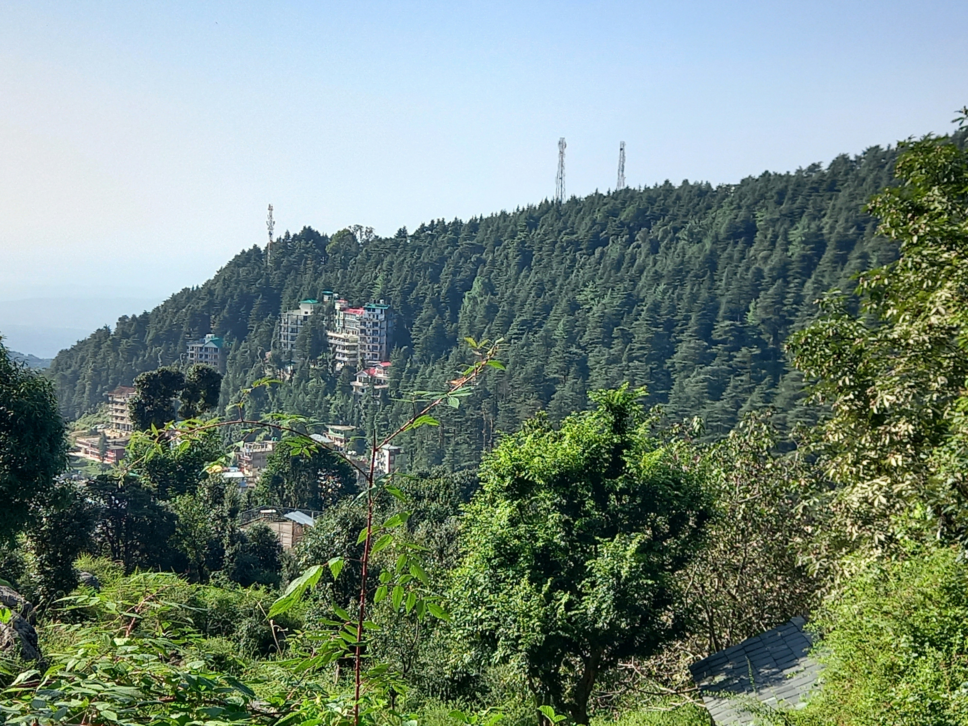 a hill with trees and buildings on it