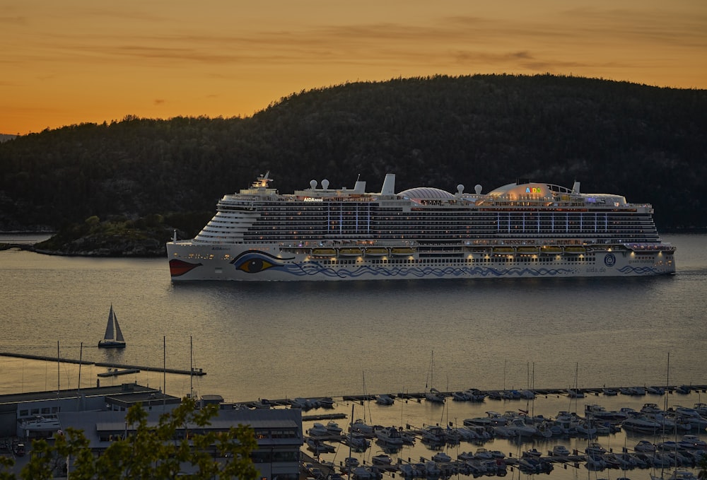 a cruise ship in the water