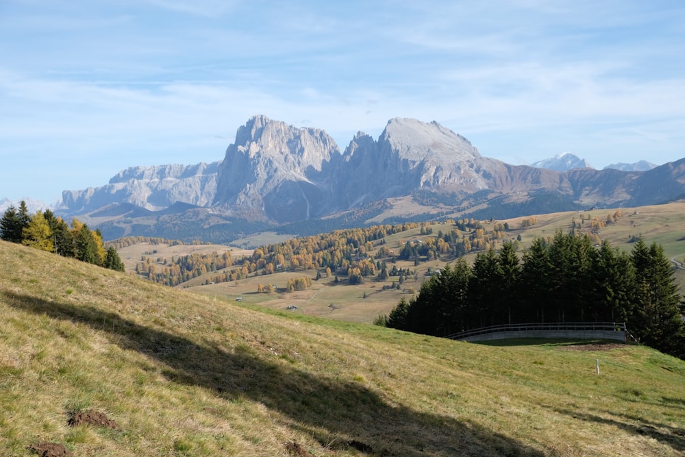 a grassy field with mountains in the background