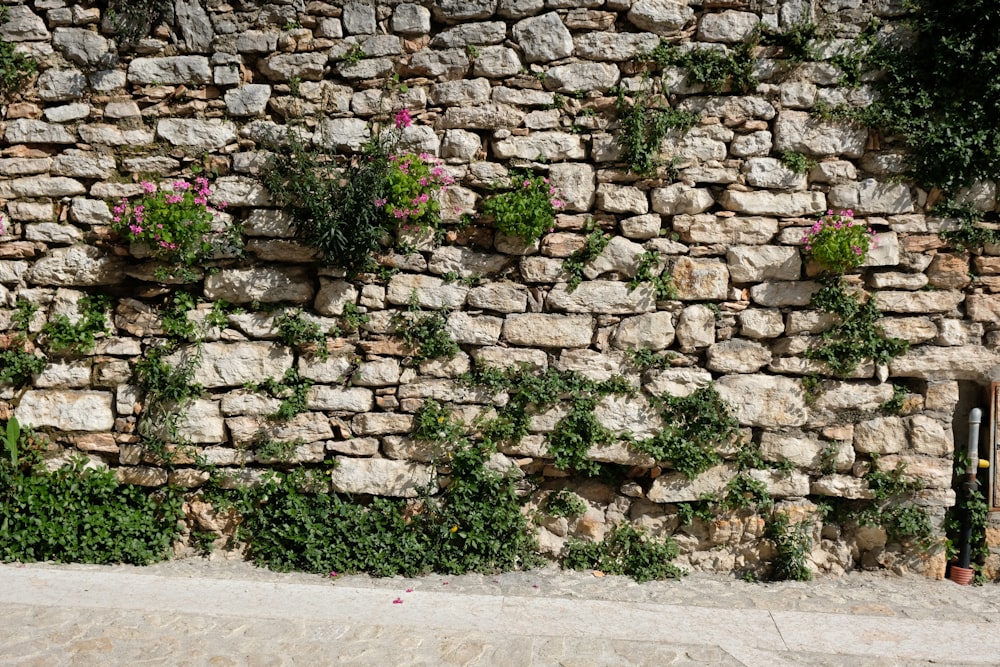 a stone wall with flowers