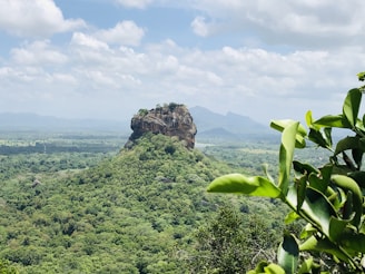 a green field with a mountain in the background