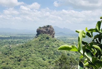 a green field with a mountain in the background