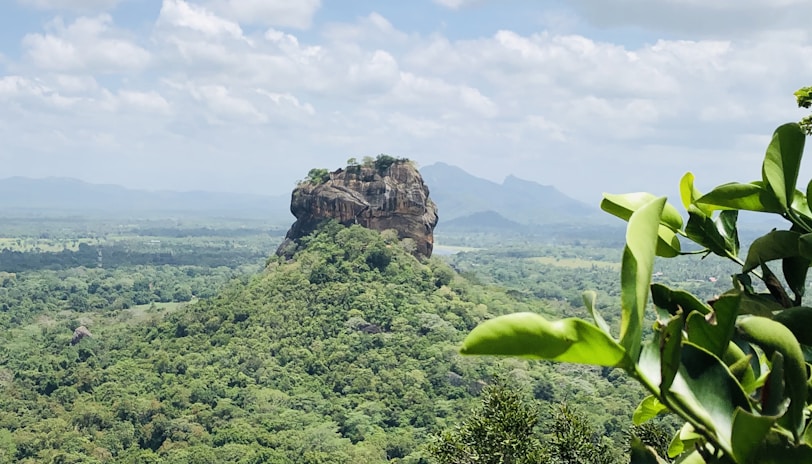 a green field with a mountain in the background