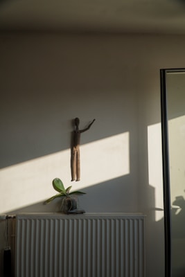 A minimalist interior with a simple decorative statue mounted on a wall. Light streams in, casting sharp shadows. Below the statue, a small plant sits on a radiator, adding a touch of nature to the scene. The shadows create a dramatic play of light on the otherwise bare wall.