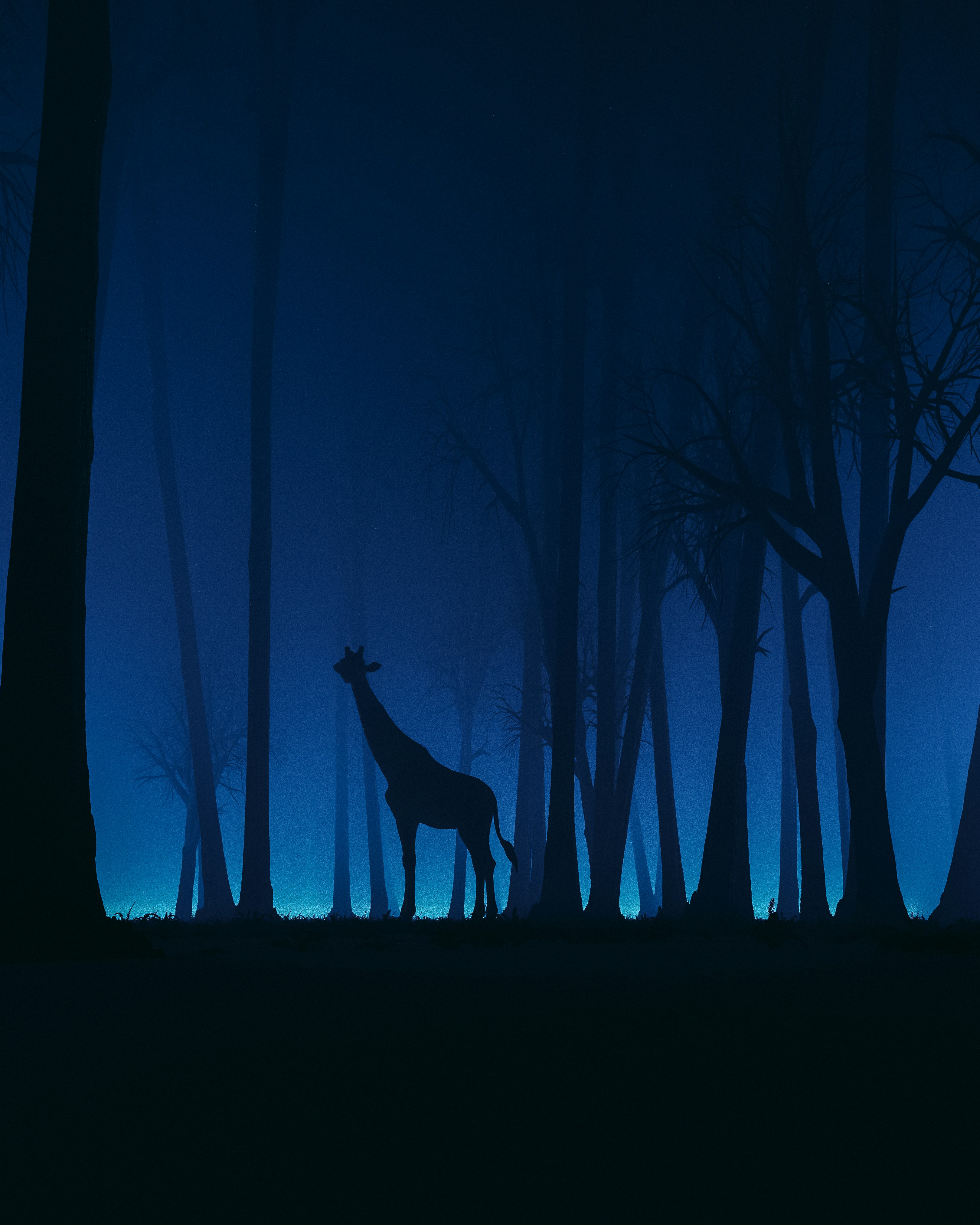 Photo by pramodtiwari