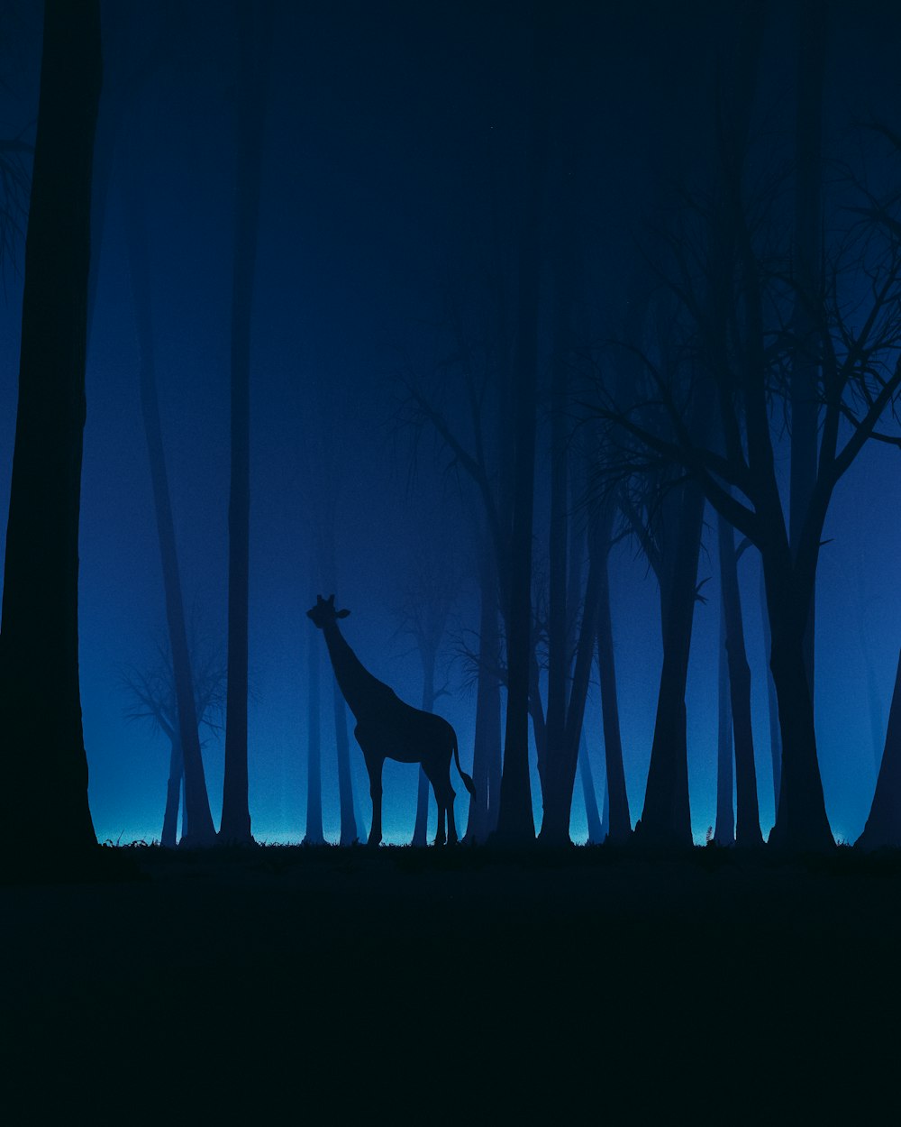 a silhouette of a deer in a forest at night