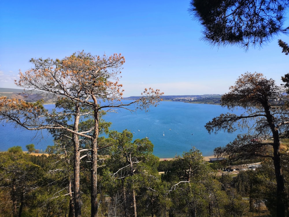 a view of a lake and trees