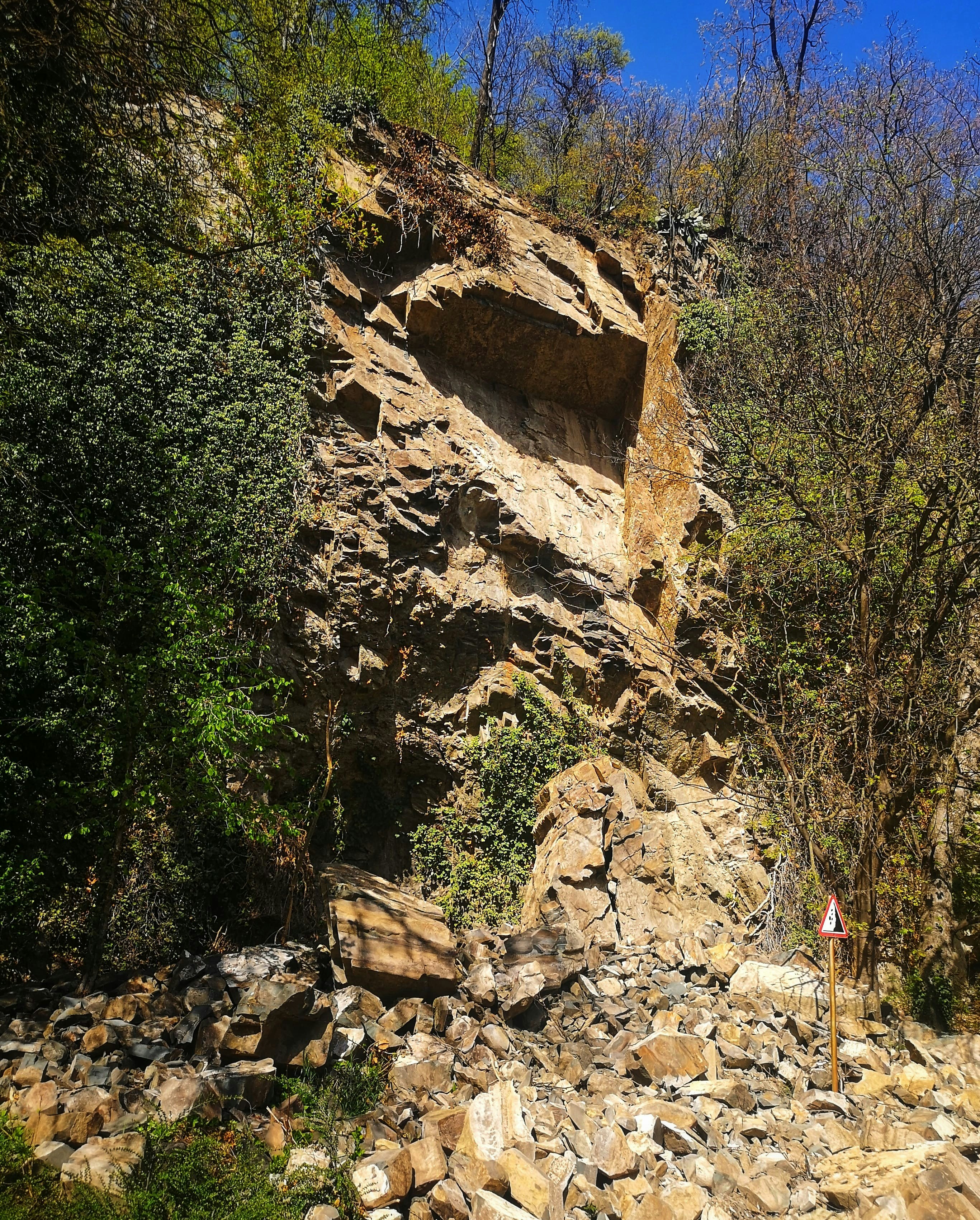 a rocky cliff with trees