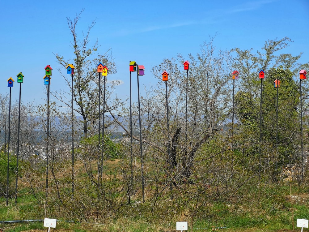 a group of flags on poles