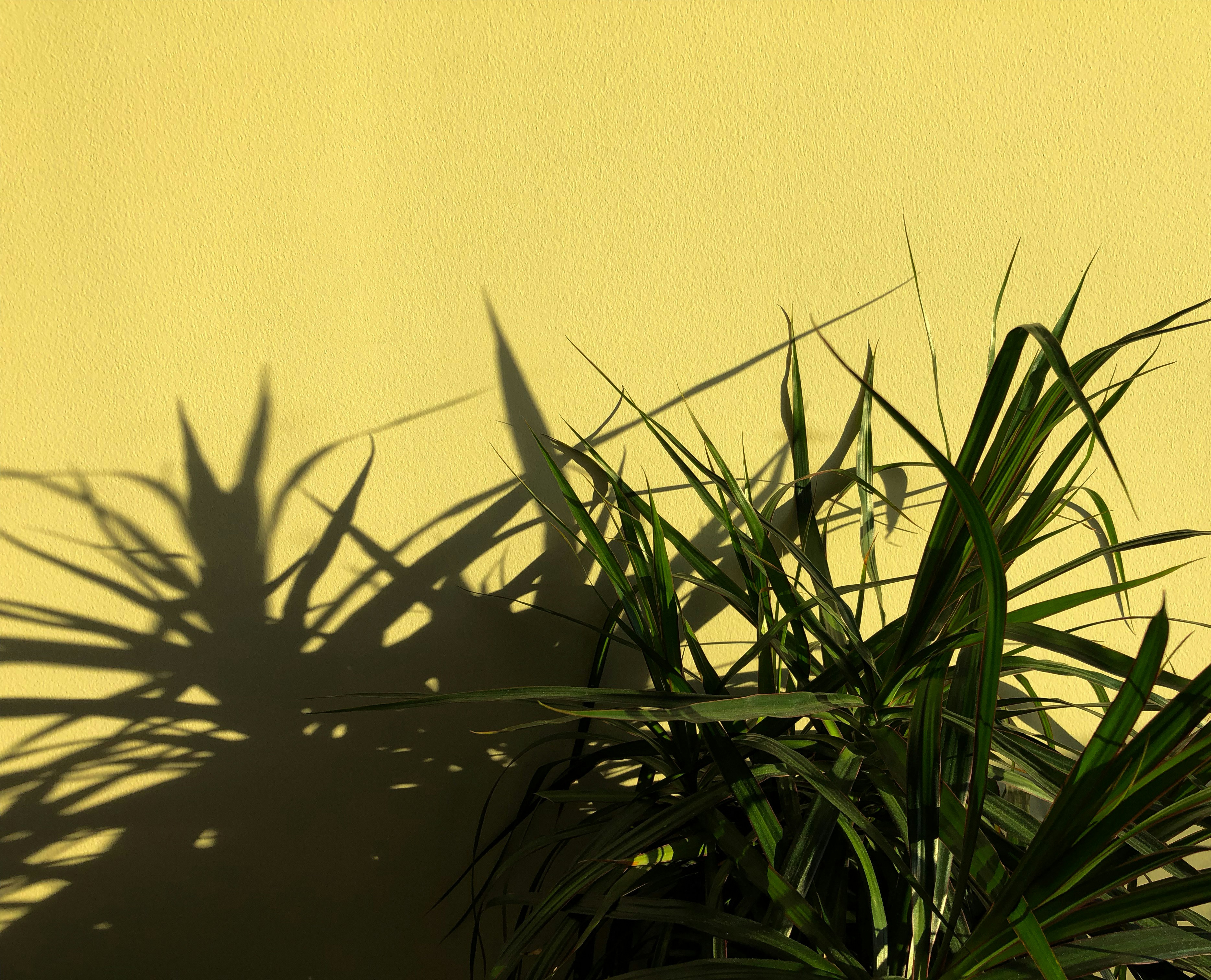 Photo by marsha_reid