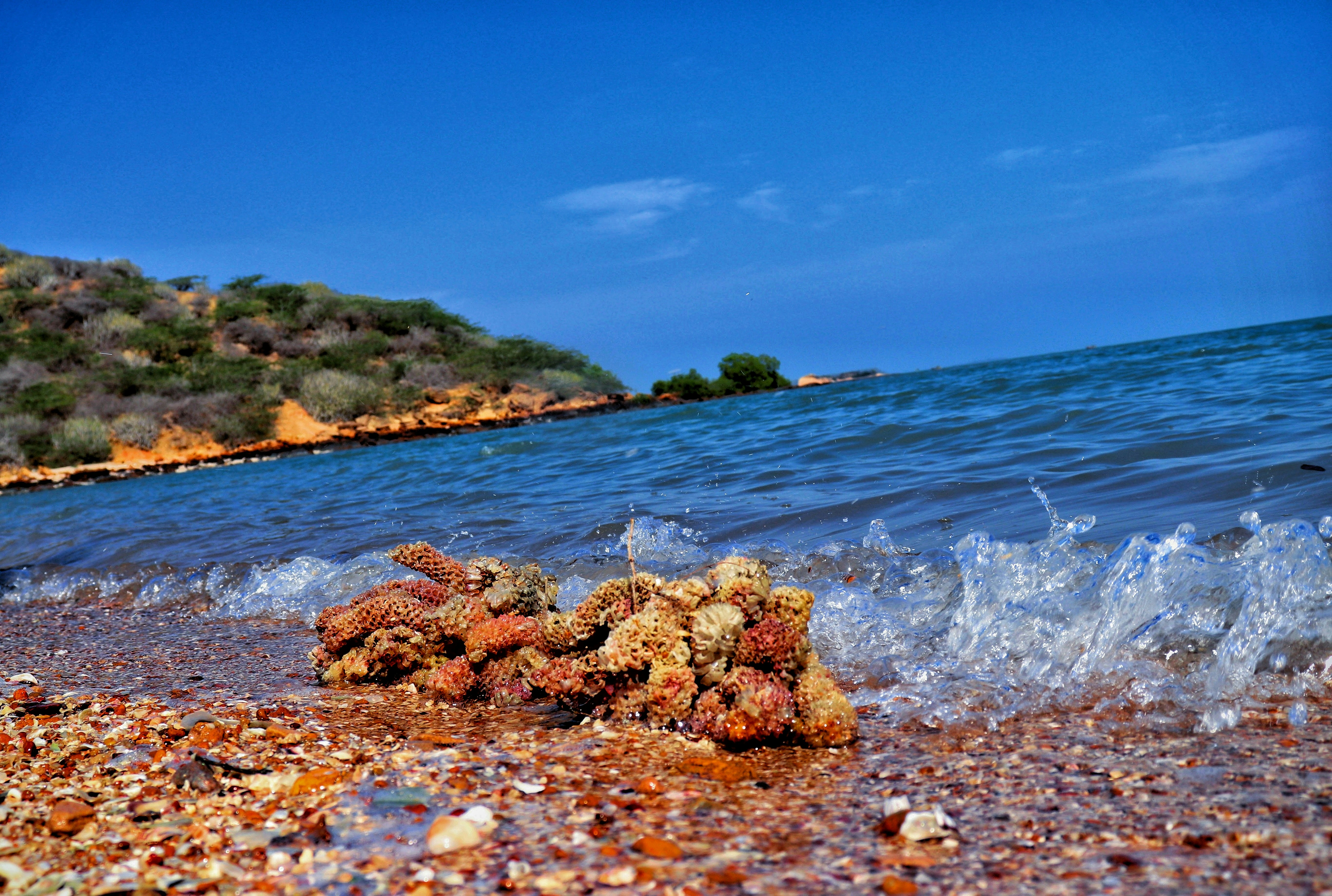 a rocky beach with a body of water and a hill with trees