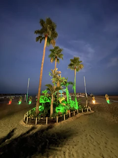 Warm uplighting on tall palm trees framing a coastal home's entrance at twilight.