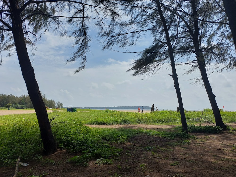 a group of people walking in a field