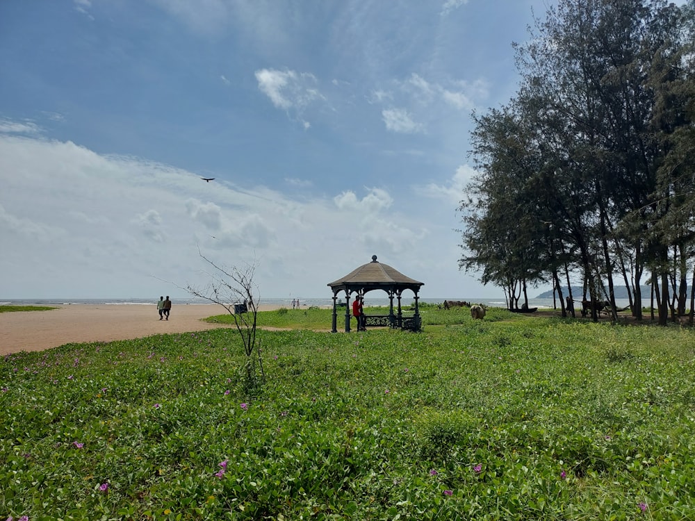 a person standing in a field of flowers with a gazebo in the background